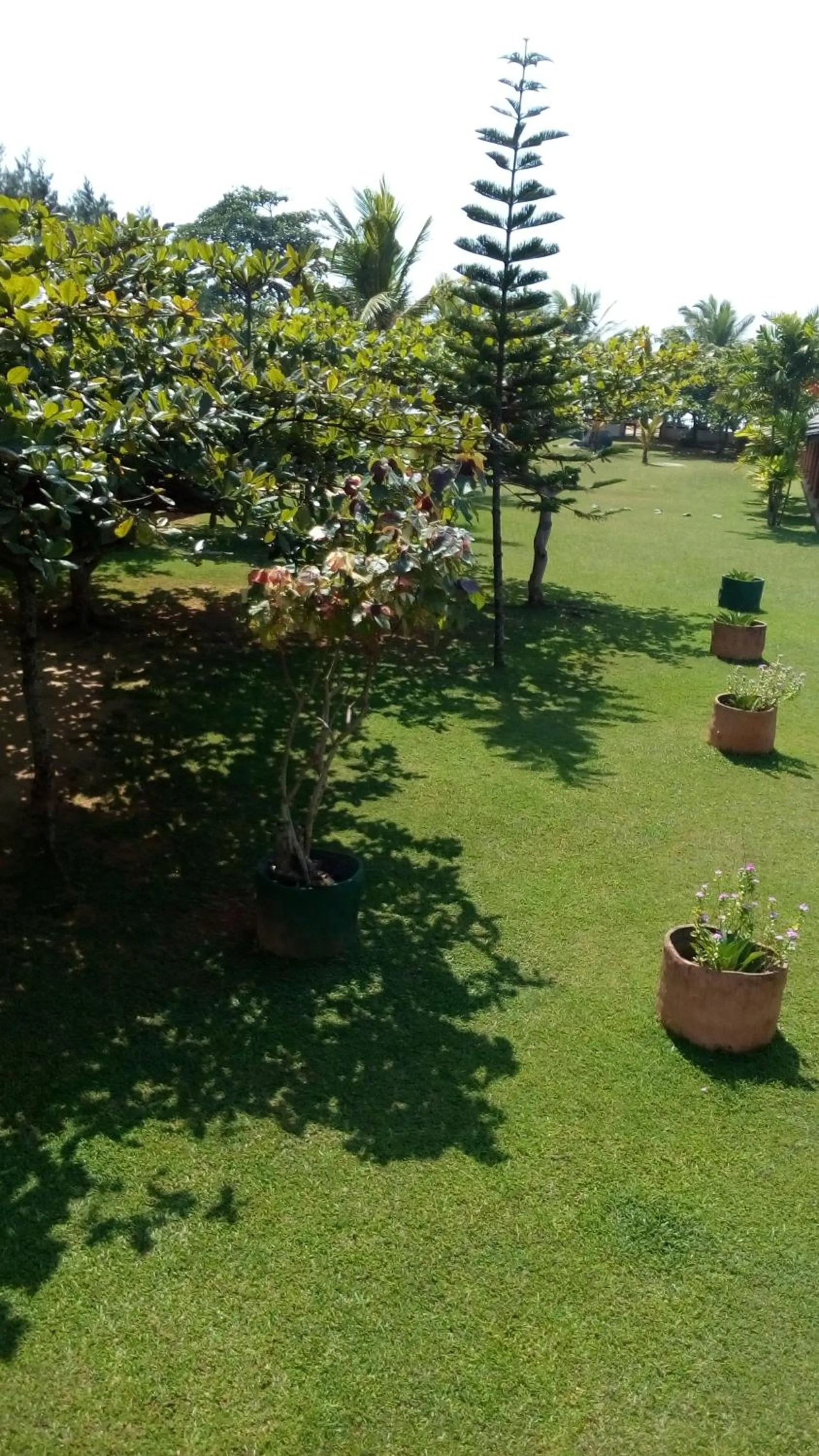 Garden view in Sagarika Beach Hotel