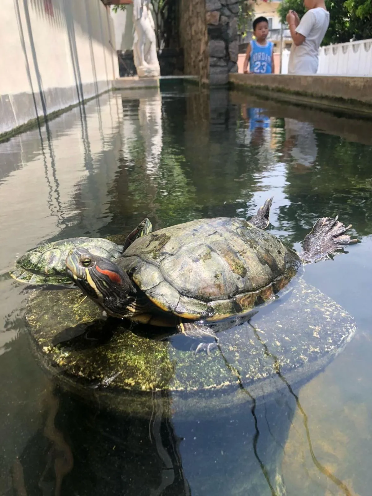 Lafala Hotel & Service Apartment