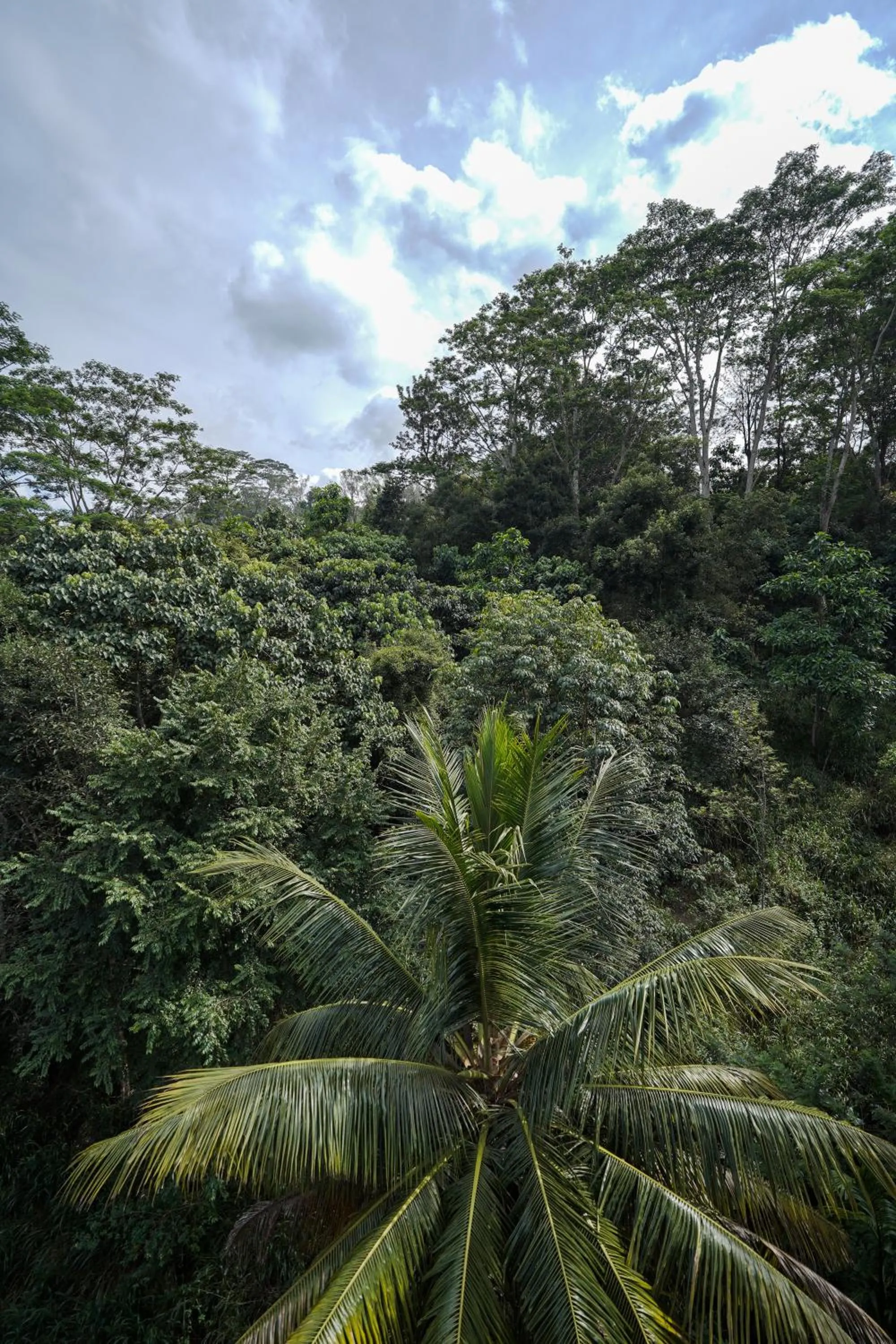 Day in Hanthana House