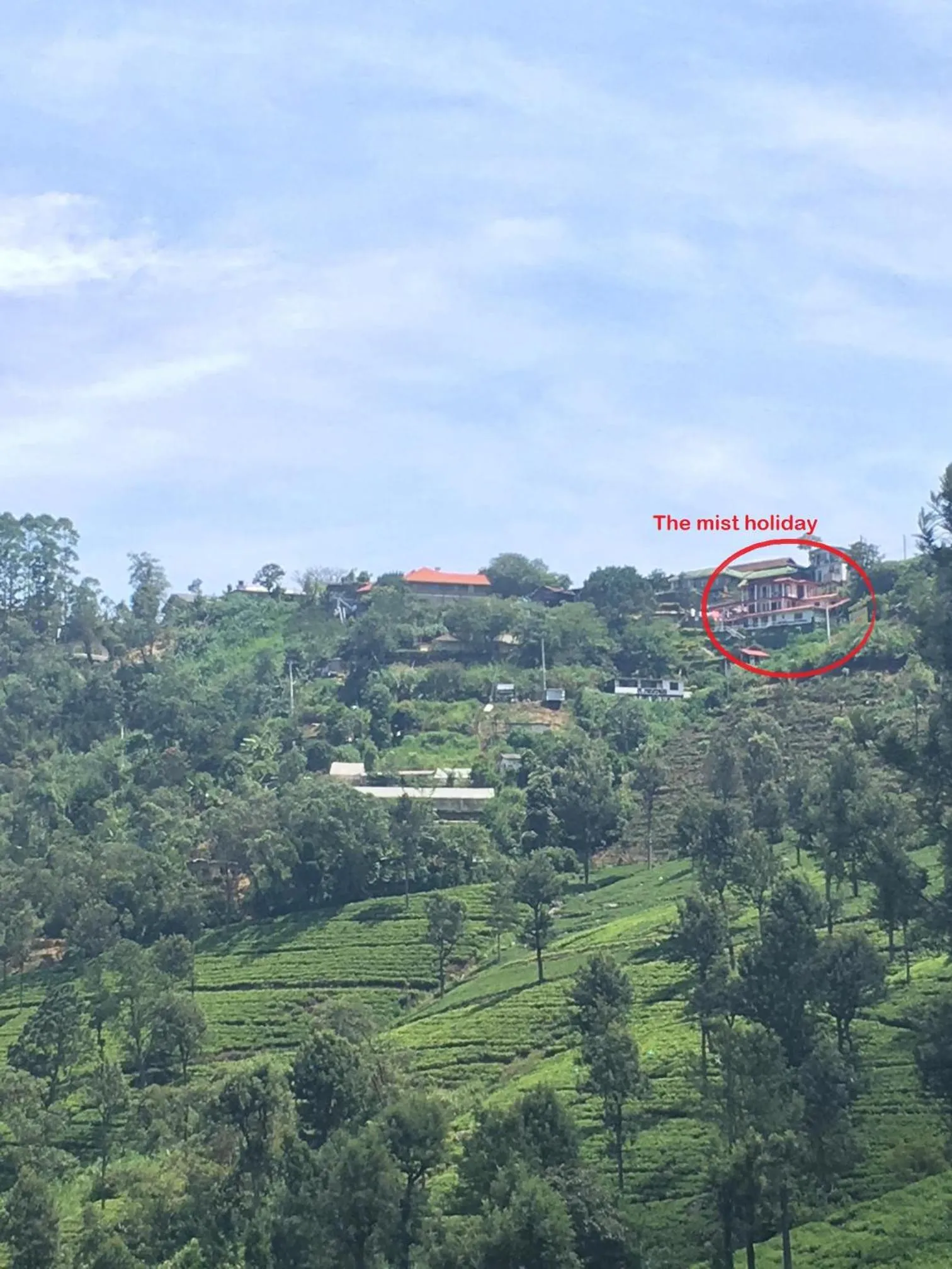 Mountain view in The Mist Holiday Bungalow