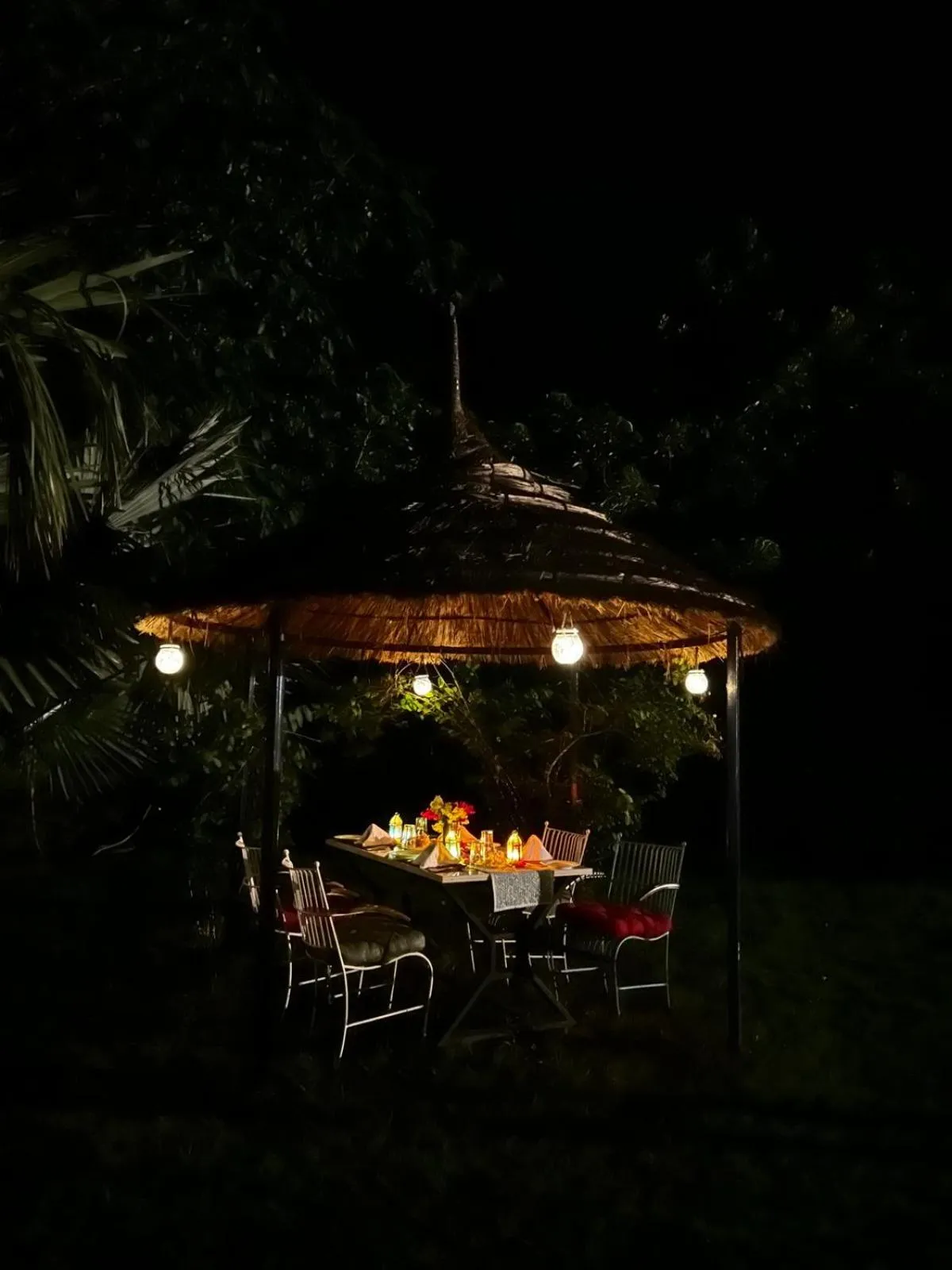 Dinner in Astroport Sariska Treetop by Eight Continents