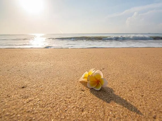 Frangipani Beach Villa