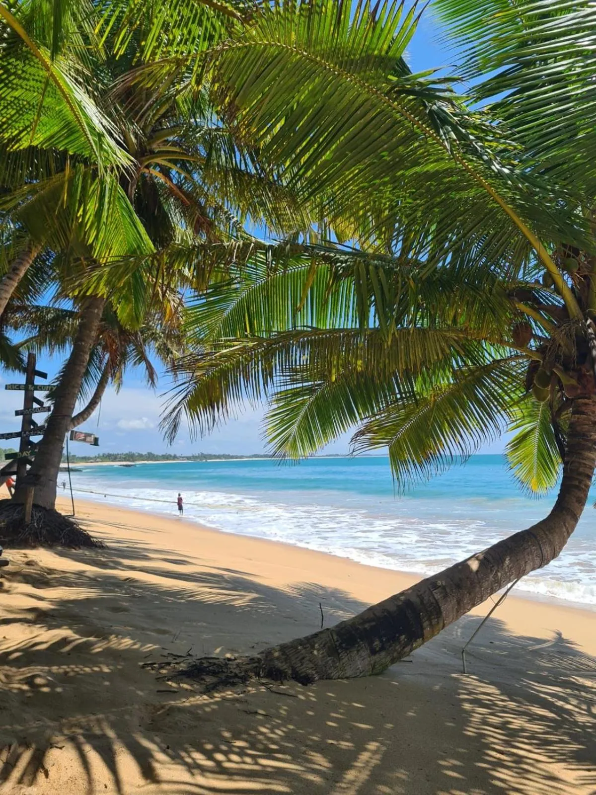 Day in Frangipani Beach Villa