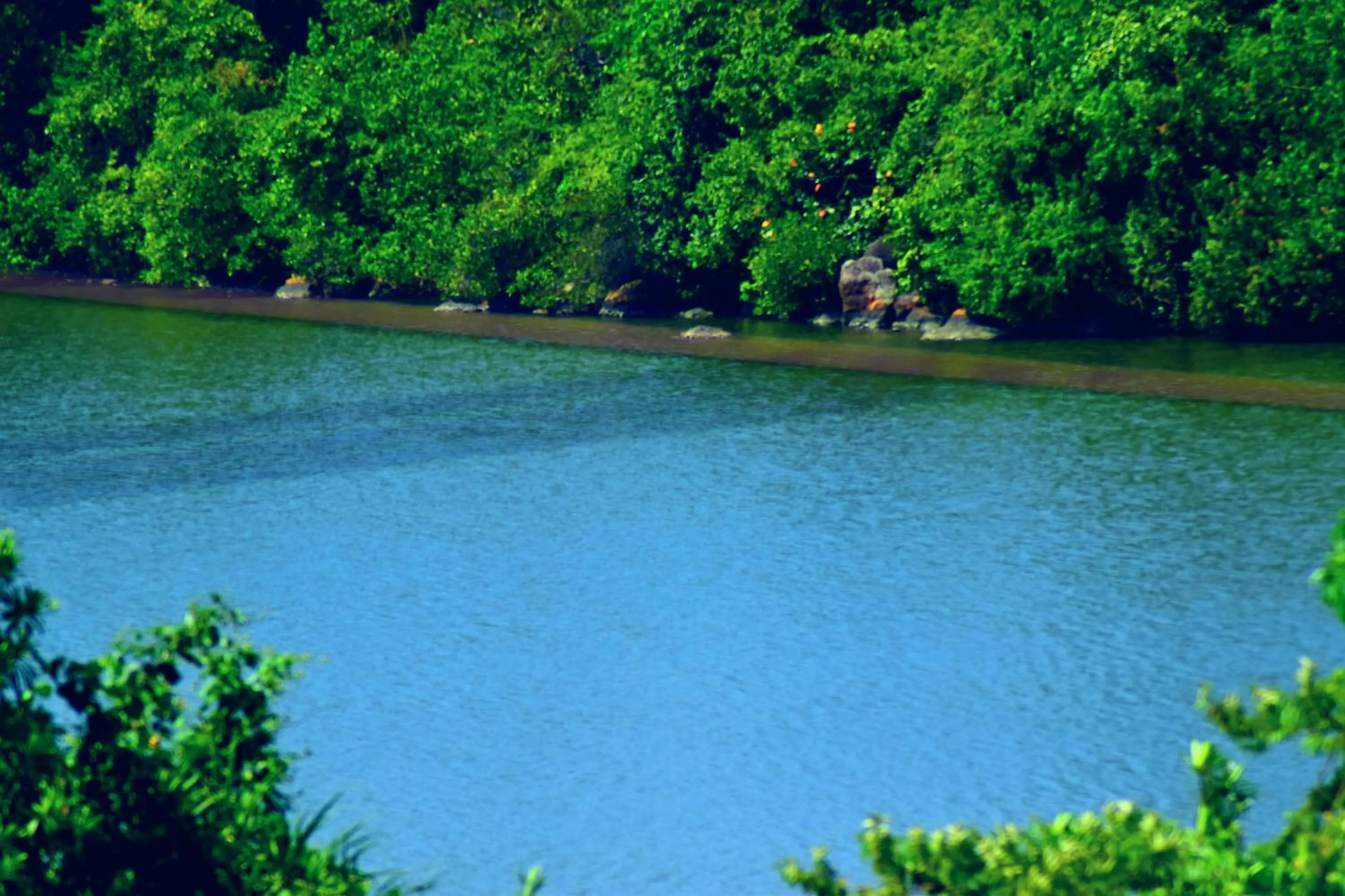 River view in Asian Jewel Boutique Hotel