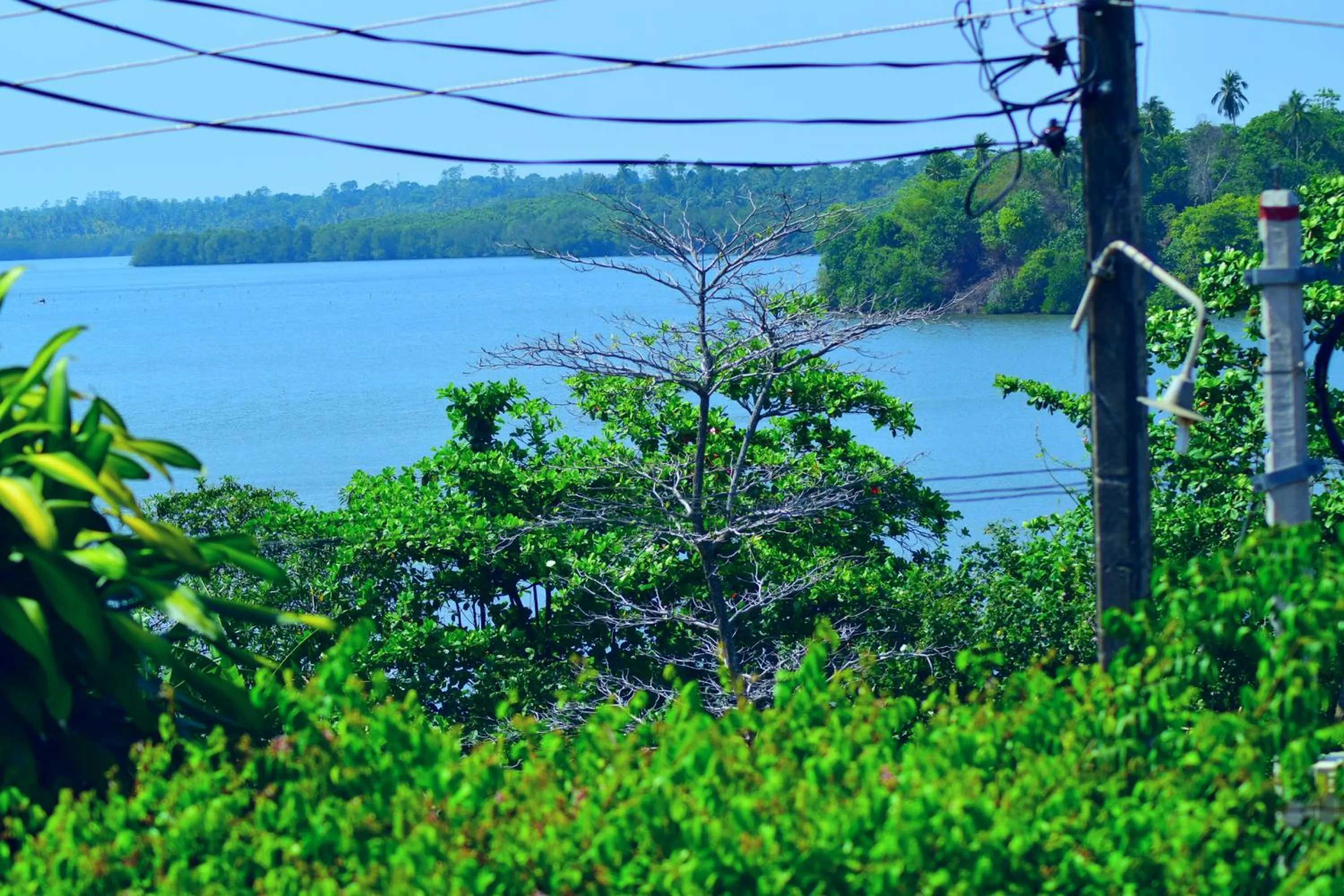 Lake view in Asian Jewel Boutique Hotel