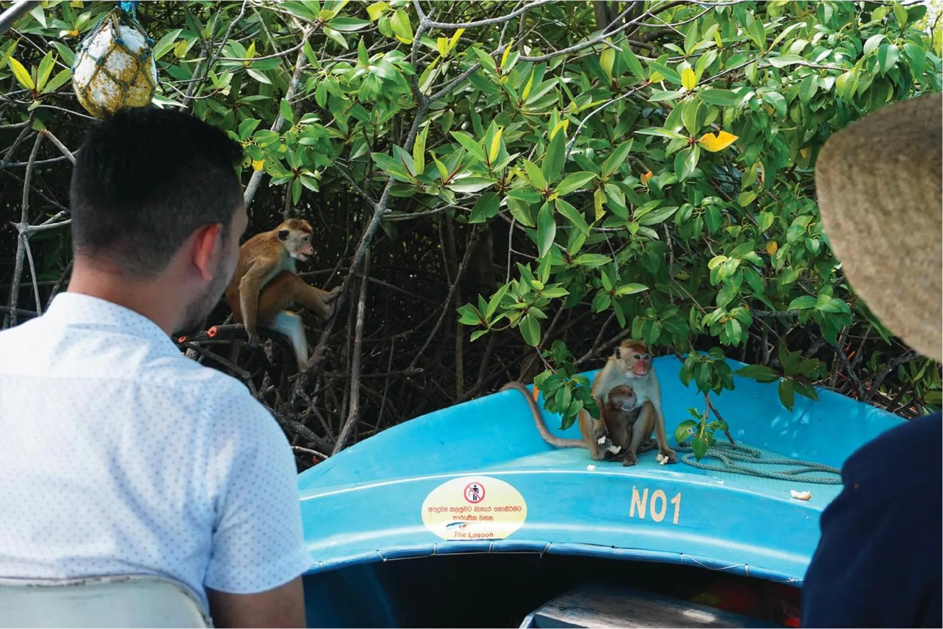 Activities in Villa Hundira