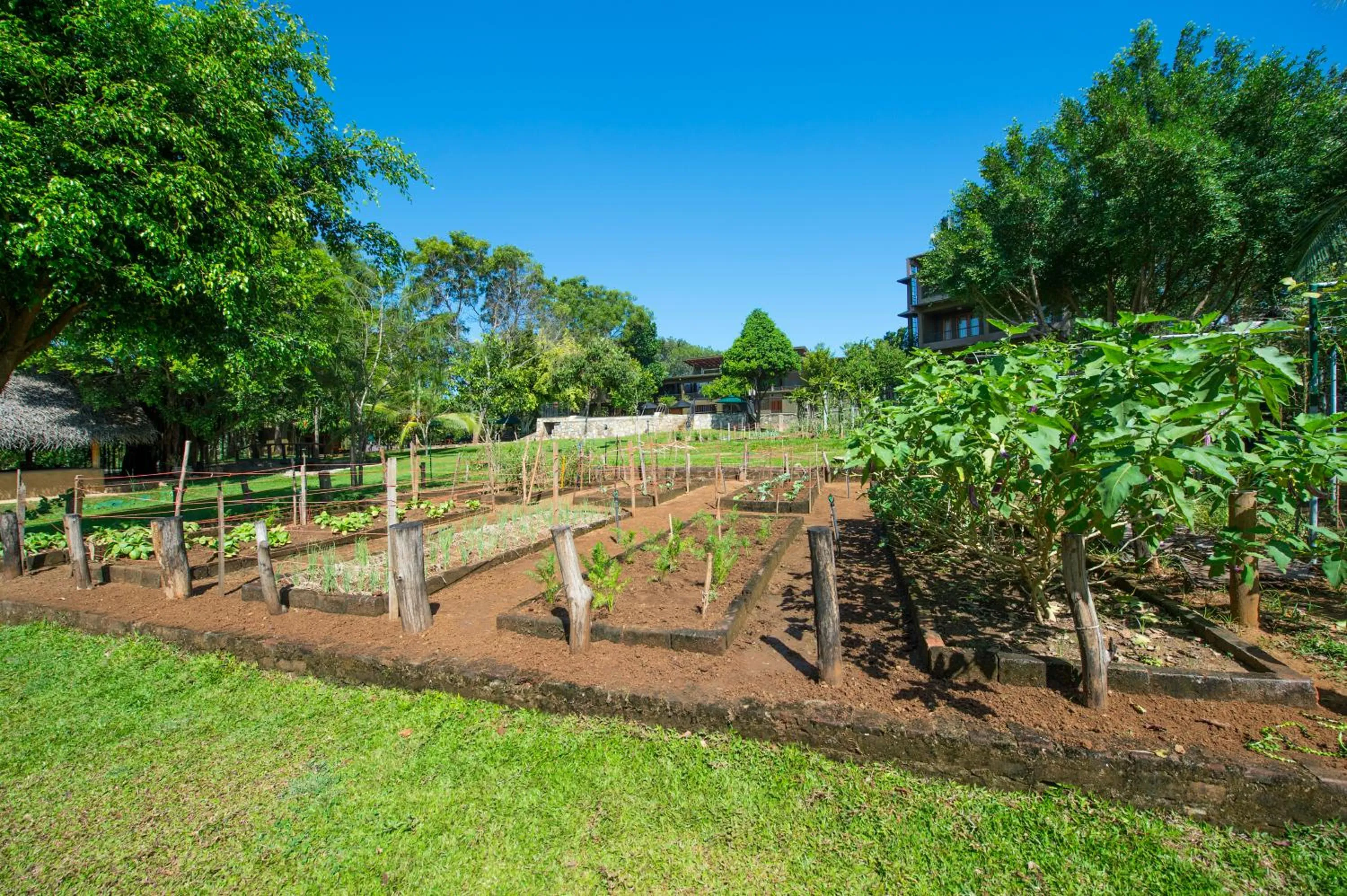 Garden in Kalu's Hideaway Udawalawe