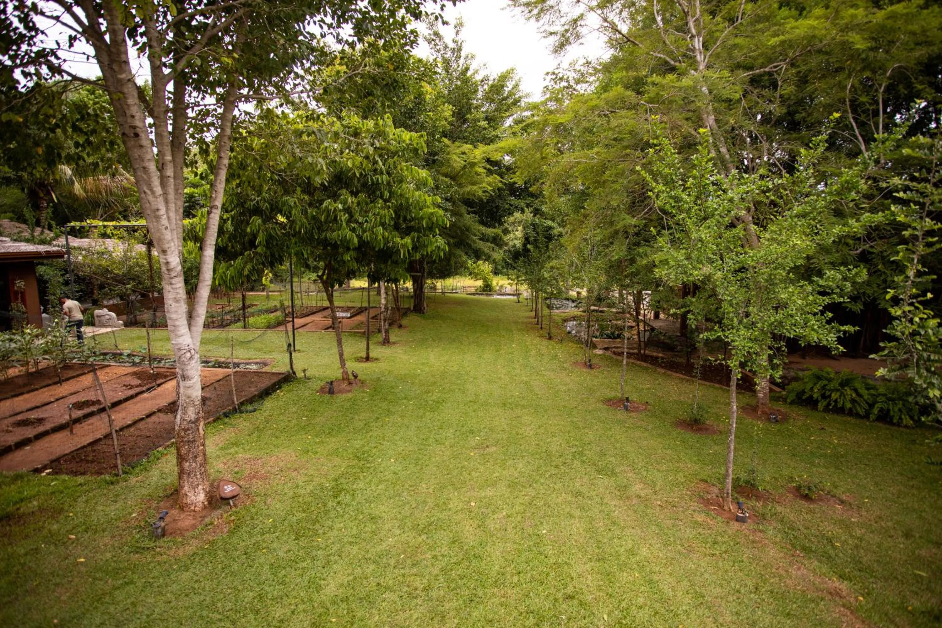 Garden in Kalu's Hideaway Udawalawe