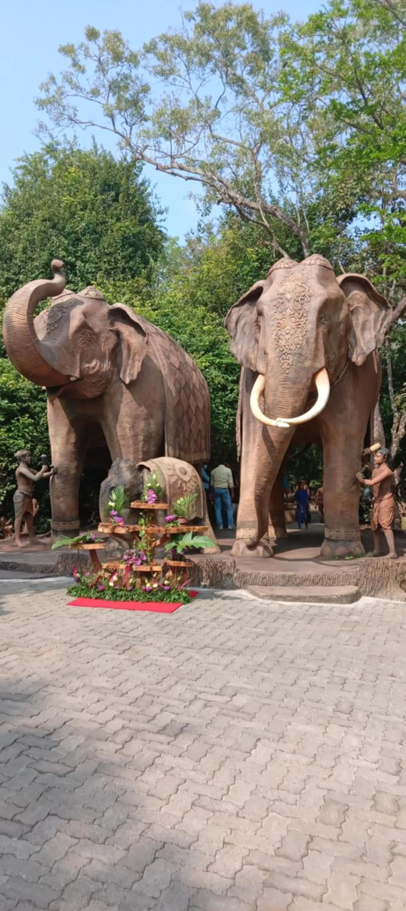 Rock Cascade Tourist Home & Cookery School