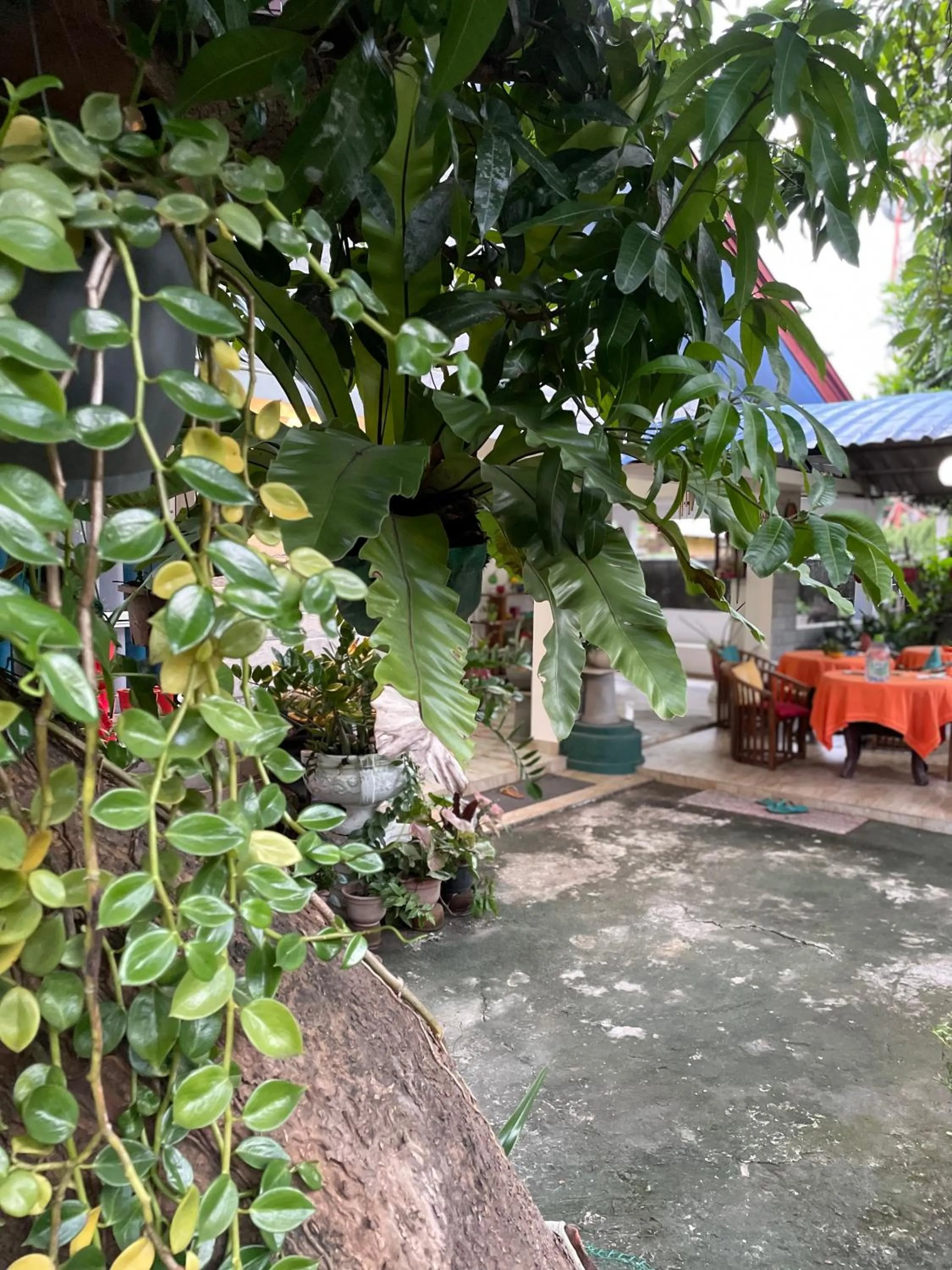 Rock Cascade Tourist Home & Cookery School