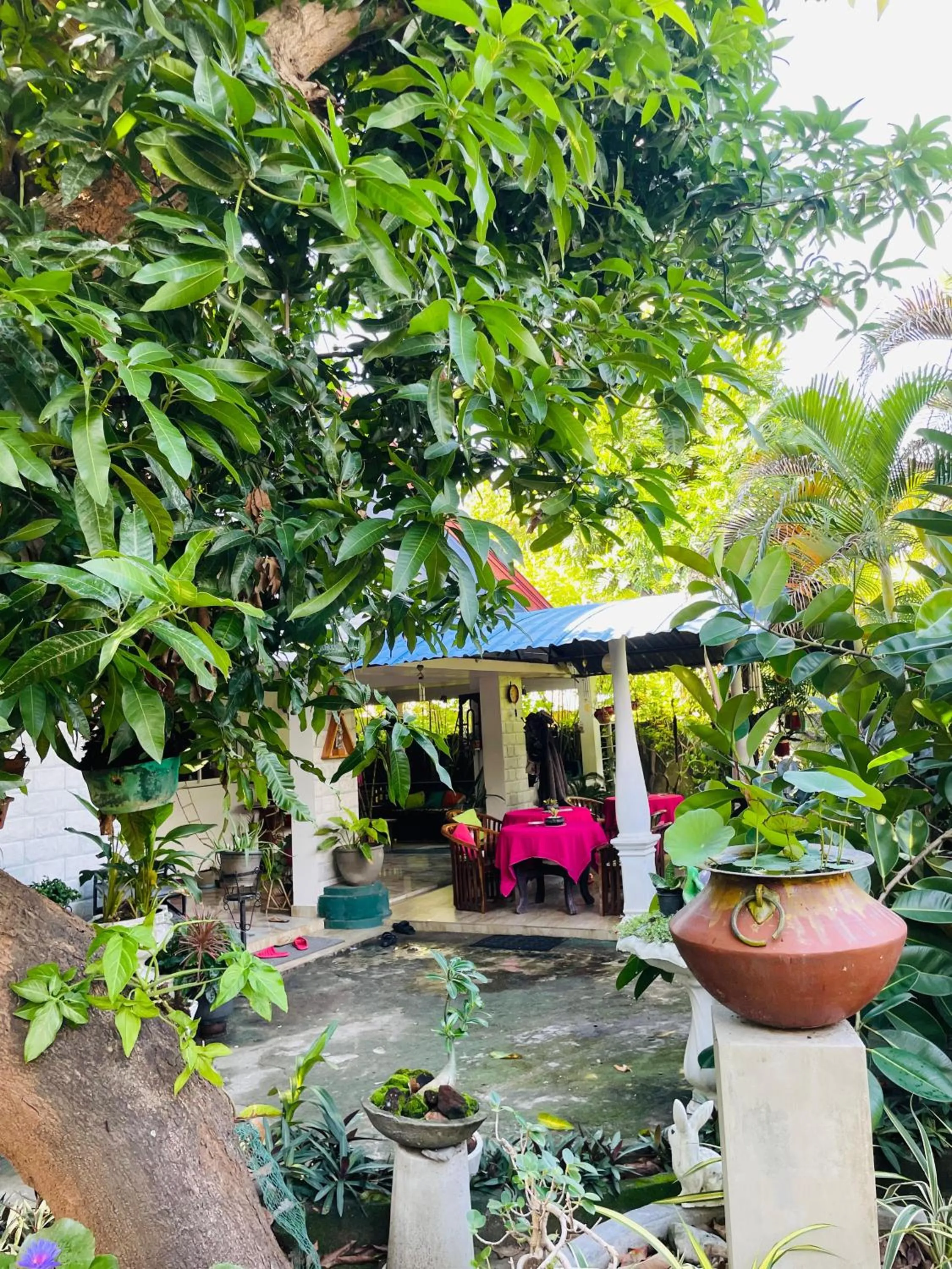 Rock Cascade Tourist Home & Cookery School