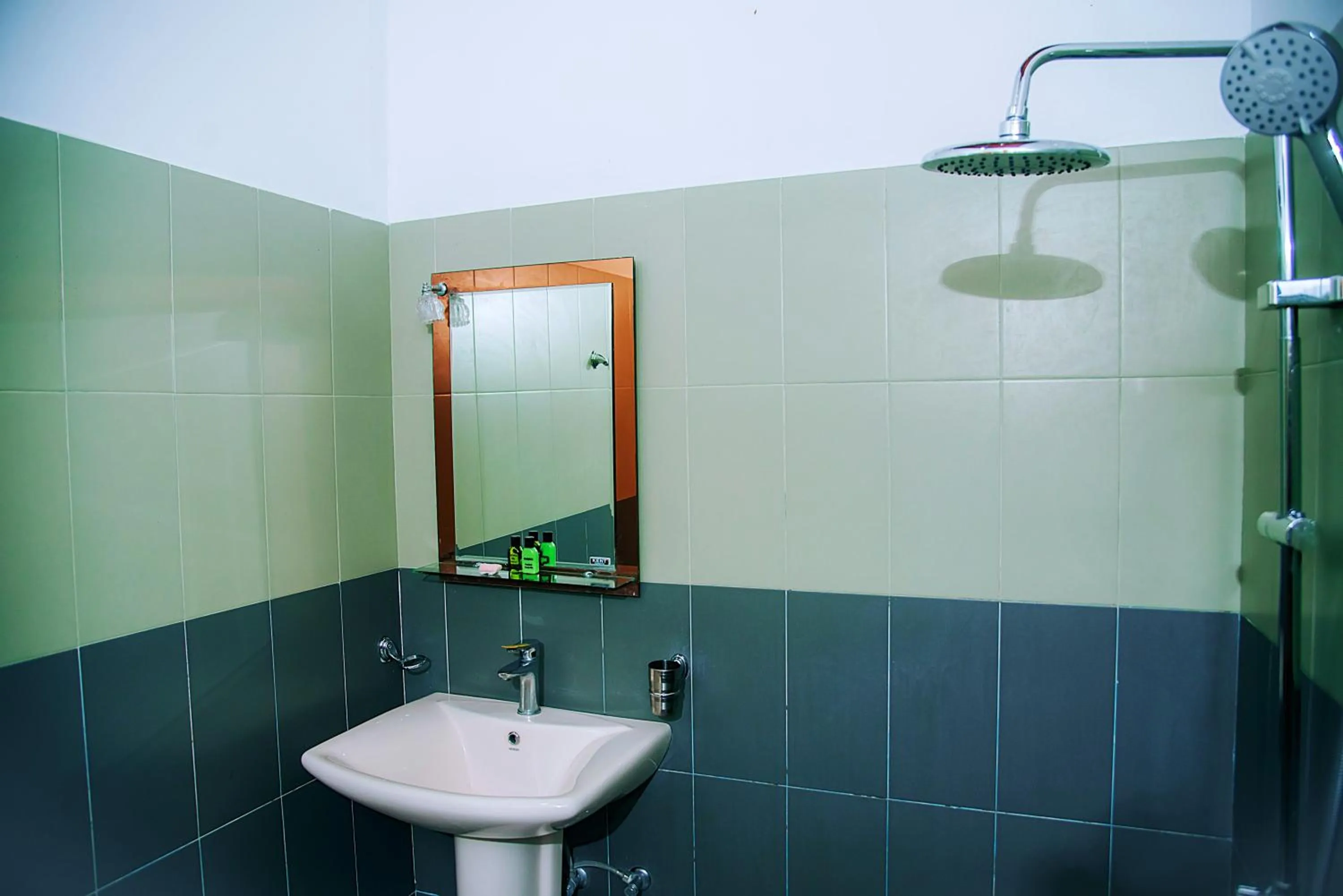 Shower in Freedom Guest Inn Ella