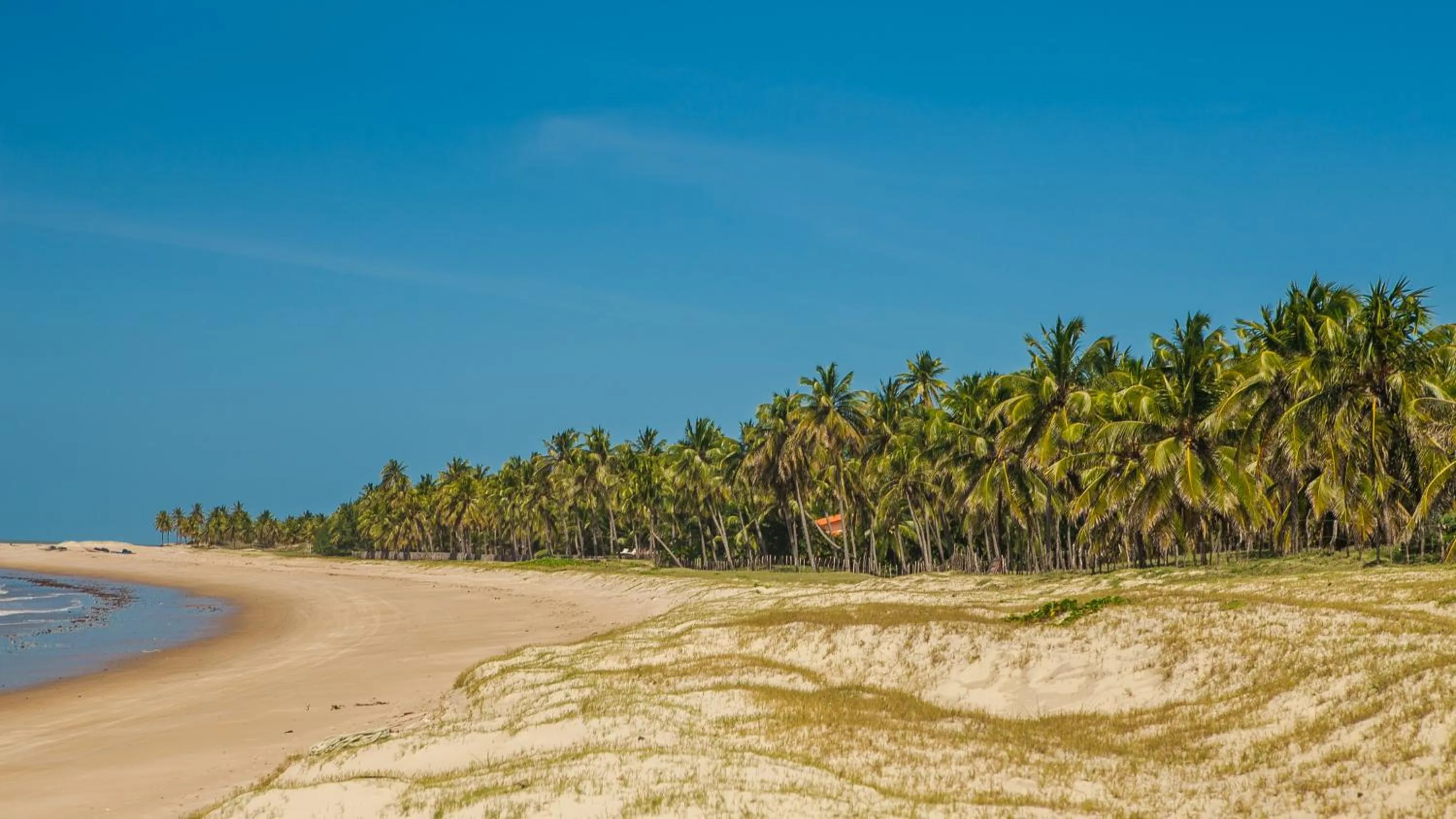 Natural landscape in Vida do Mar