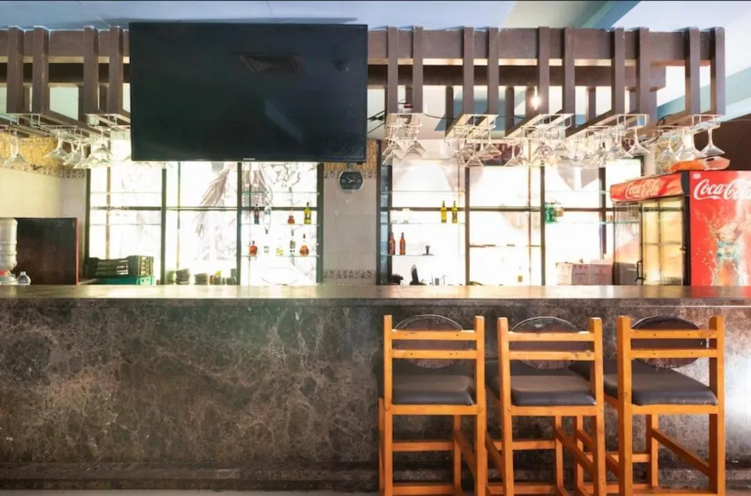 Lounge or bar in Hotel Vassi Palaze