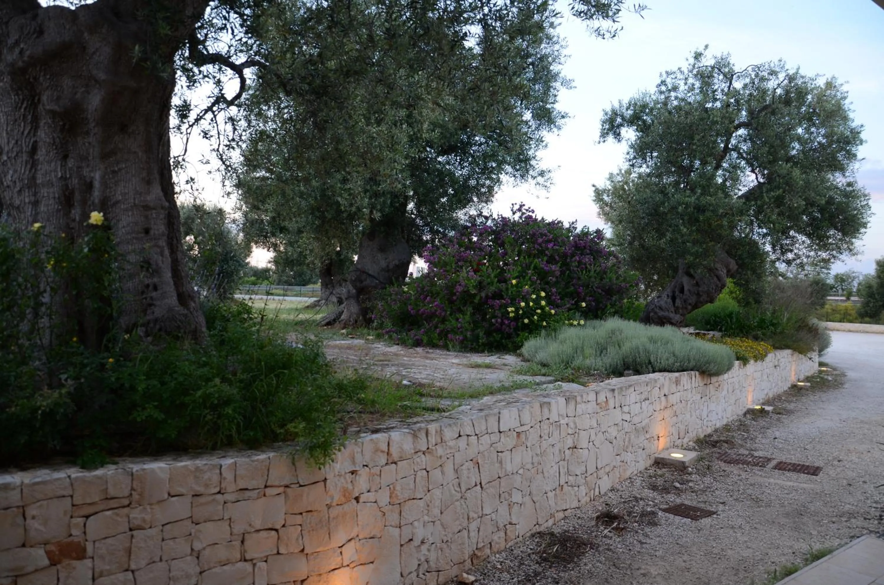 Garden in Agriturismo Tenuta Chianchizza