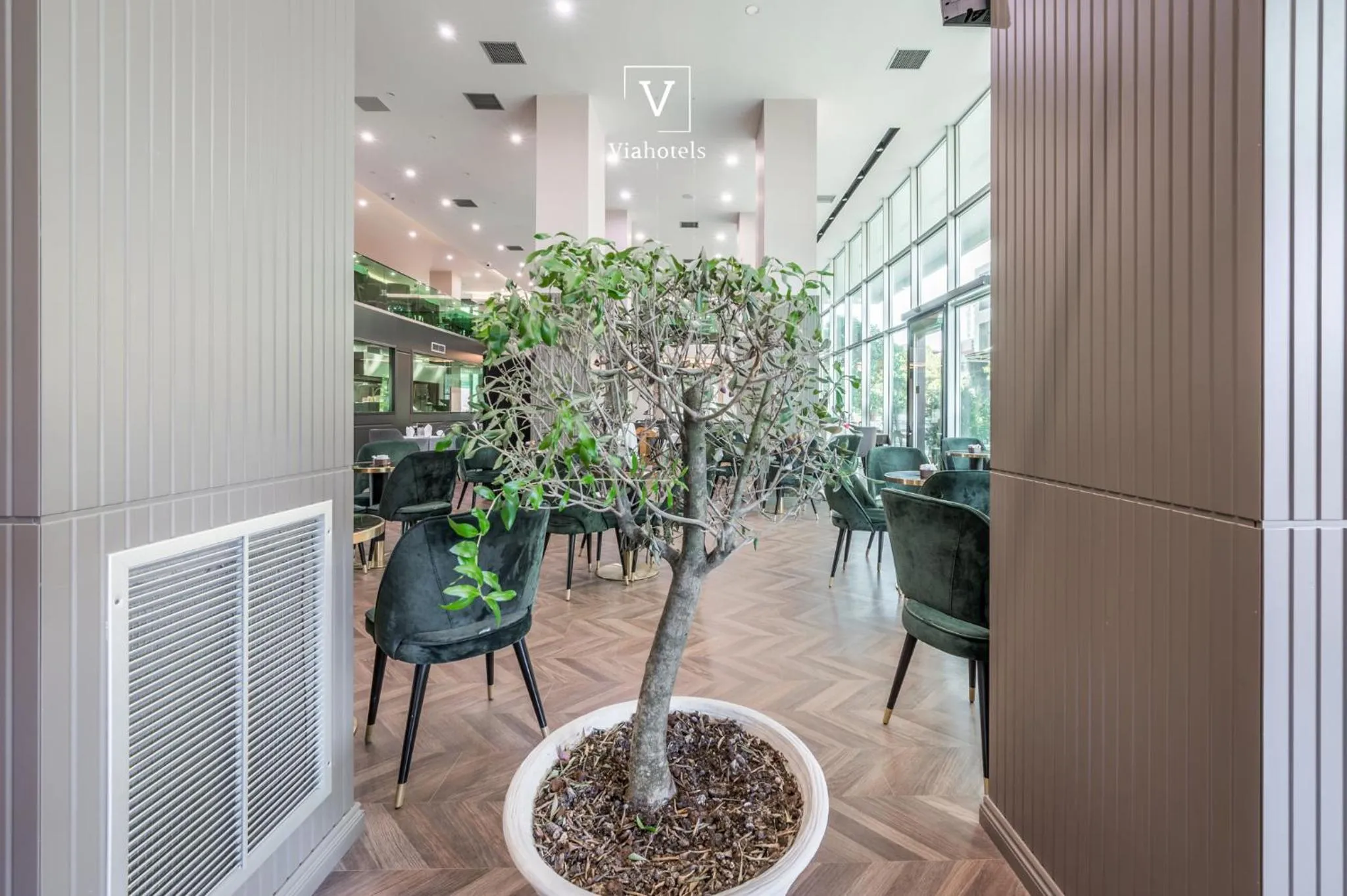 Lounge or bar in VH Eurostar Tirana Hotel Congress & Tirana Spa