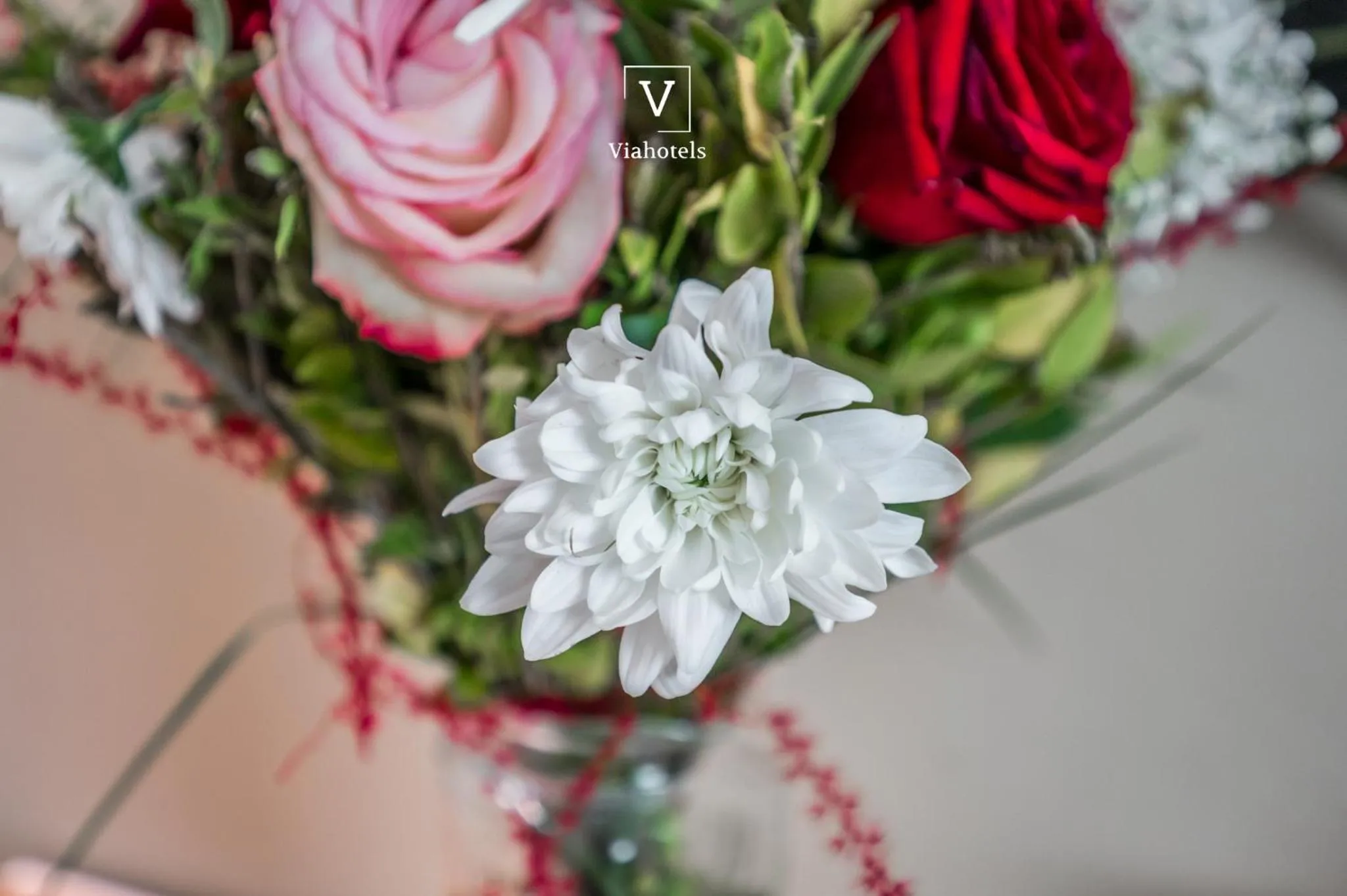 Business facilities in VH Eurostar Tirana Hotel Congress & Tirana Spa