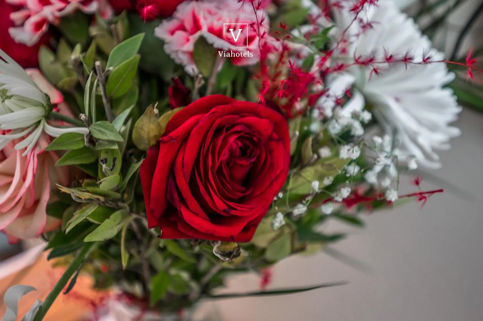 Decorative detail in VH Eurostar Tirana Hotel Congress & Tirana Spa