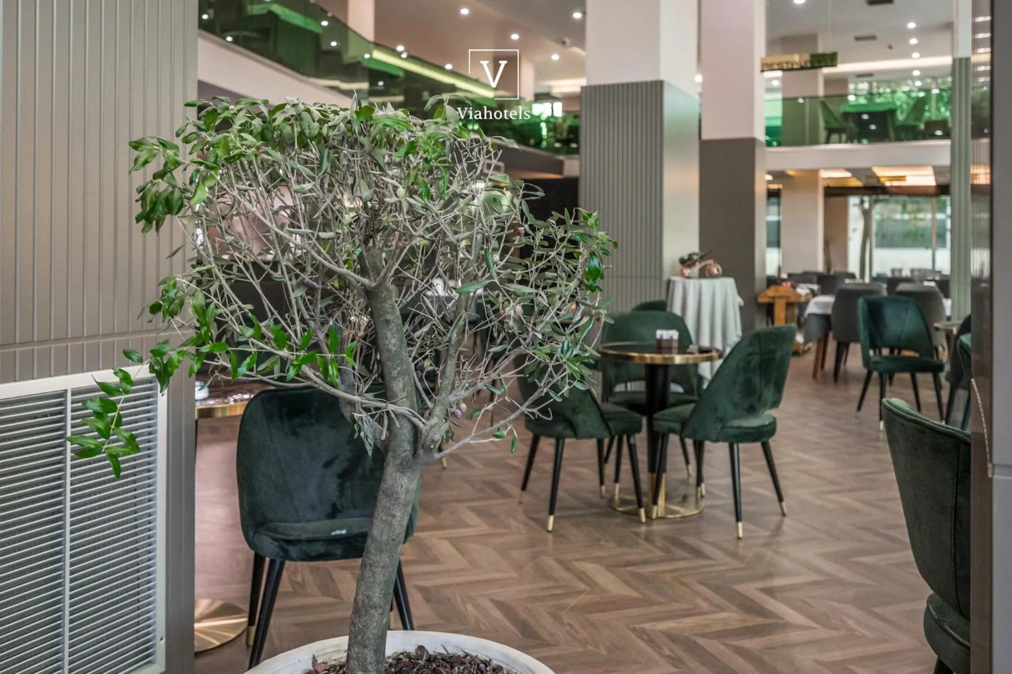 Restaurant/places to eat in VH Eurostar Tirana Hotel Congress & Tirana Spa