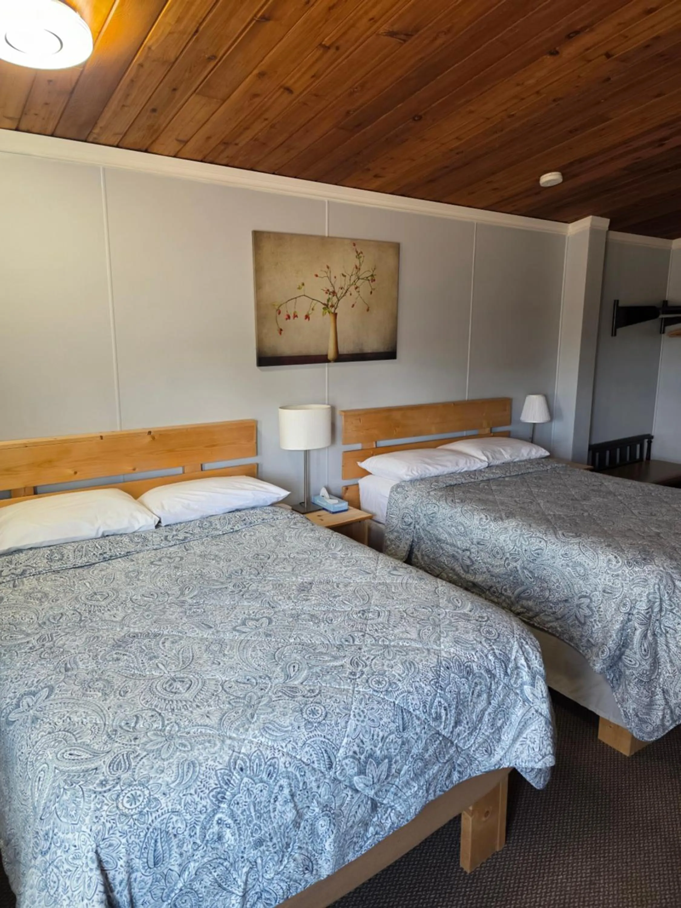 Bed in Bio Vista Motel