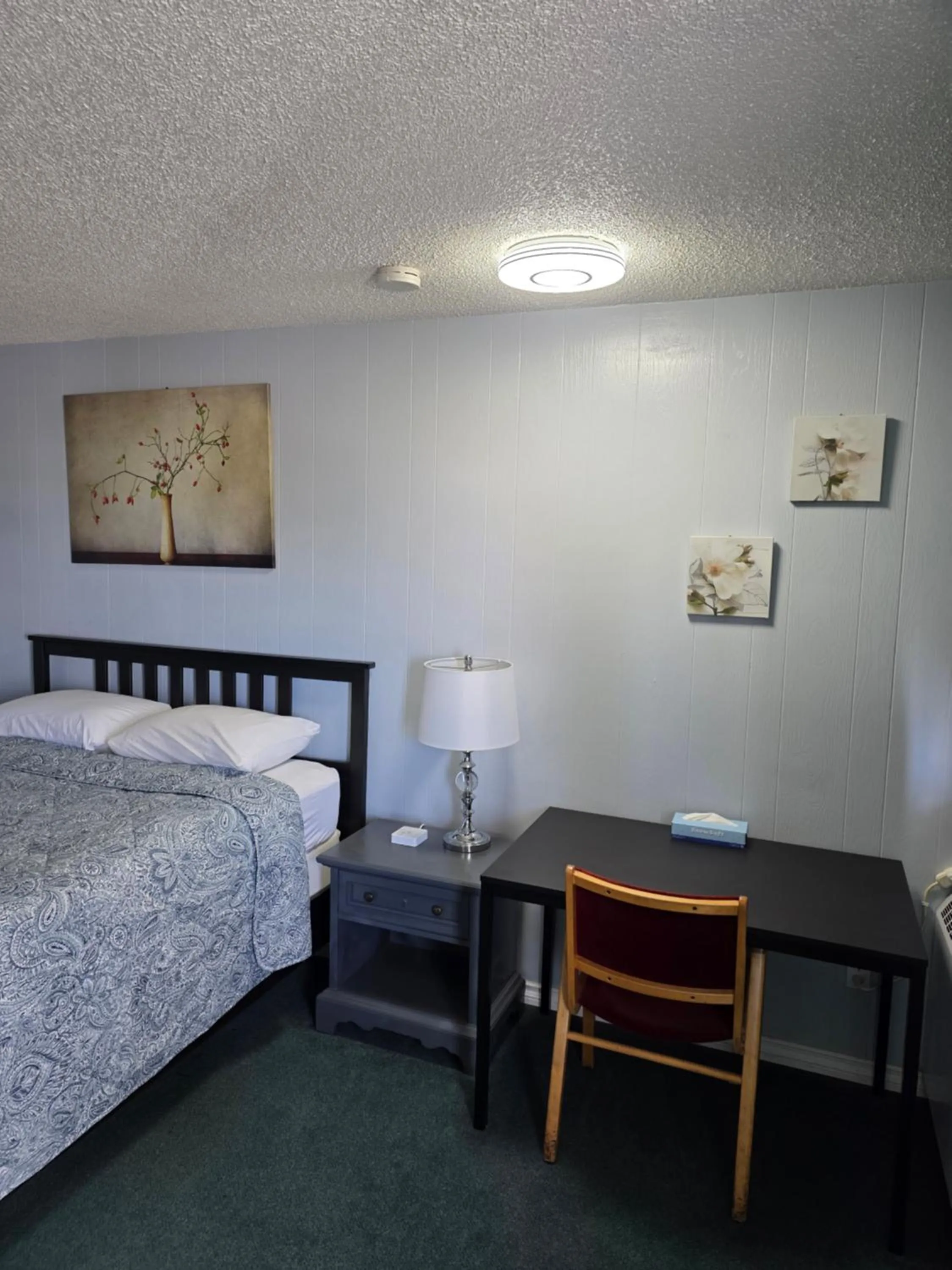 Bed in Bio Vista Motel