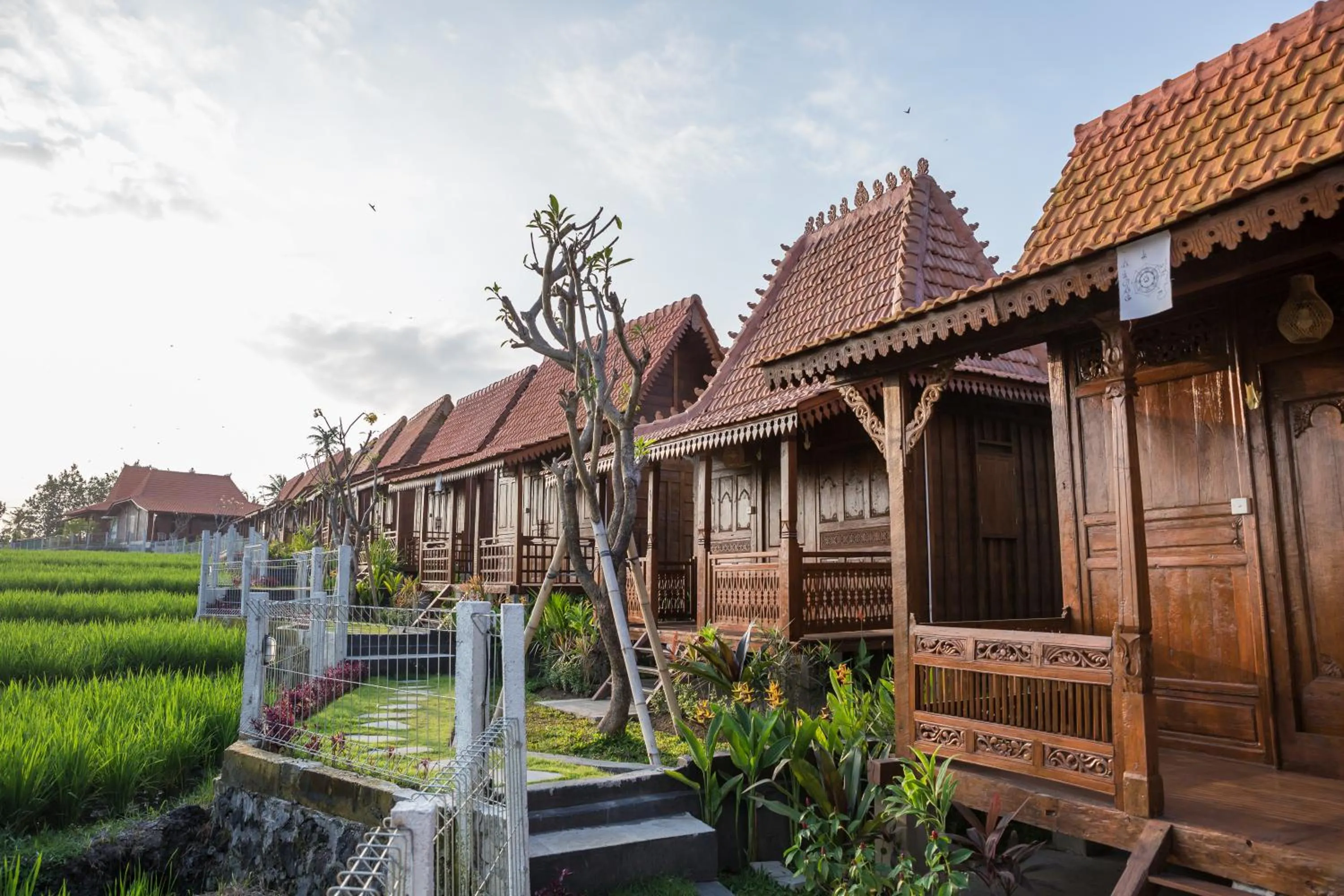 Property building in Victory Munggu