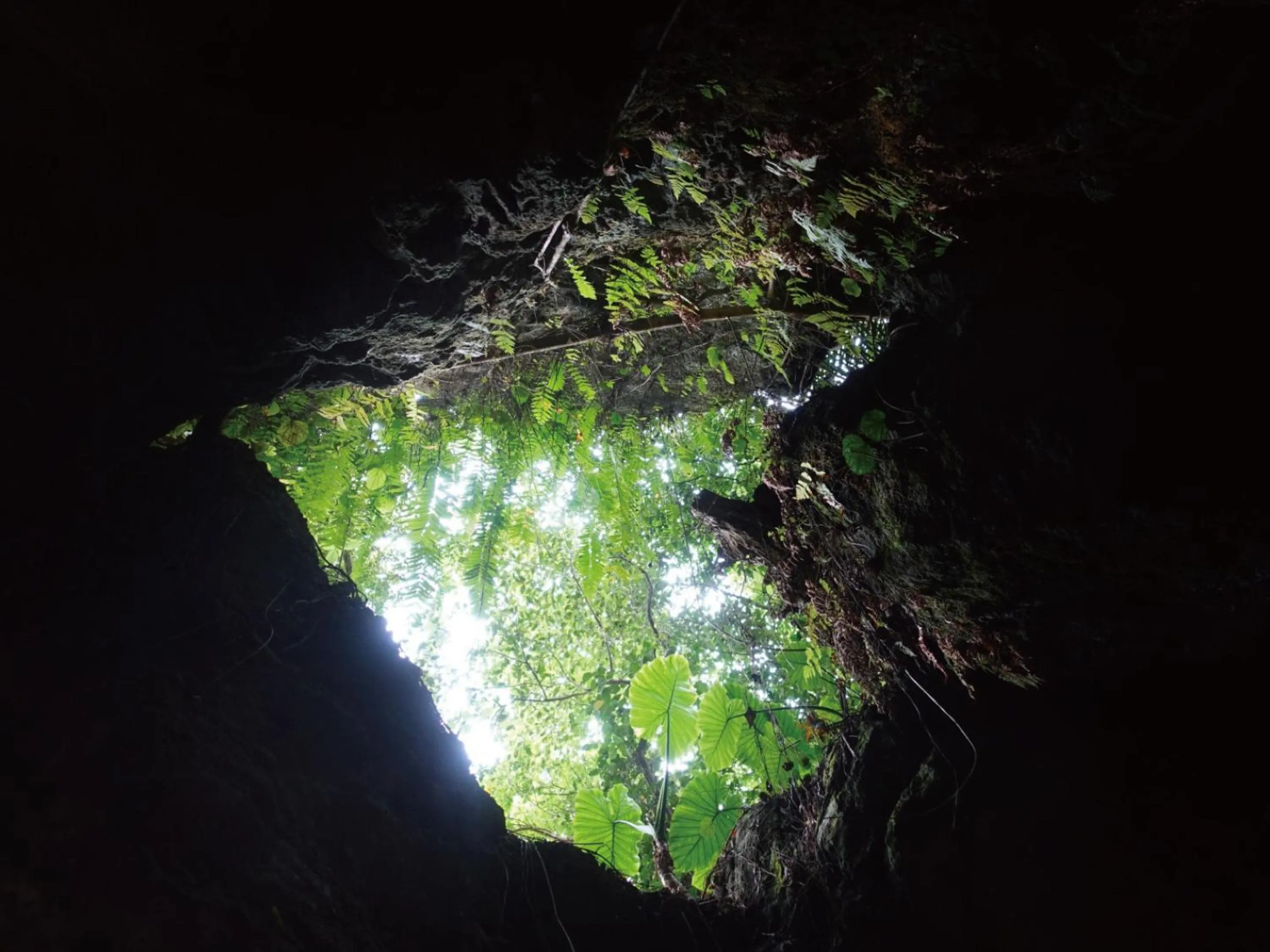 Nearby landmark in AMAWARI HOTEL -SEVEN Hotels and Resorts-