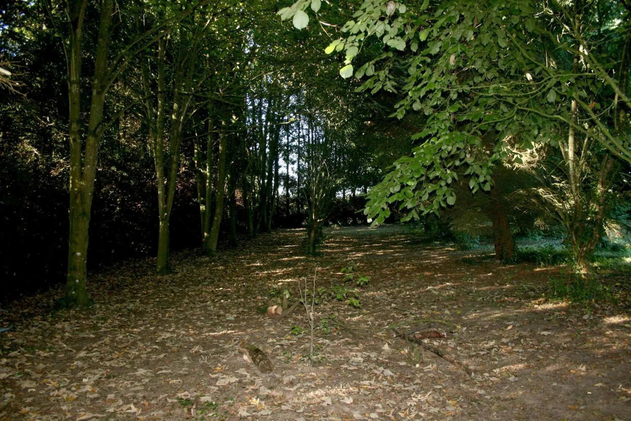 Garden in L'Anctovillière