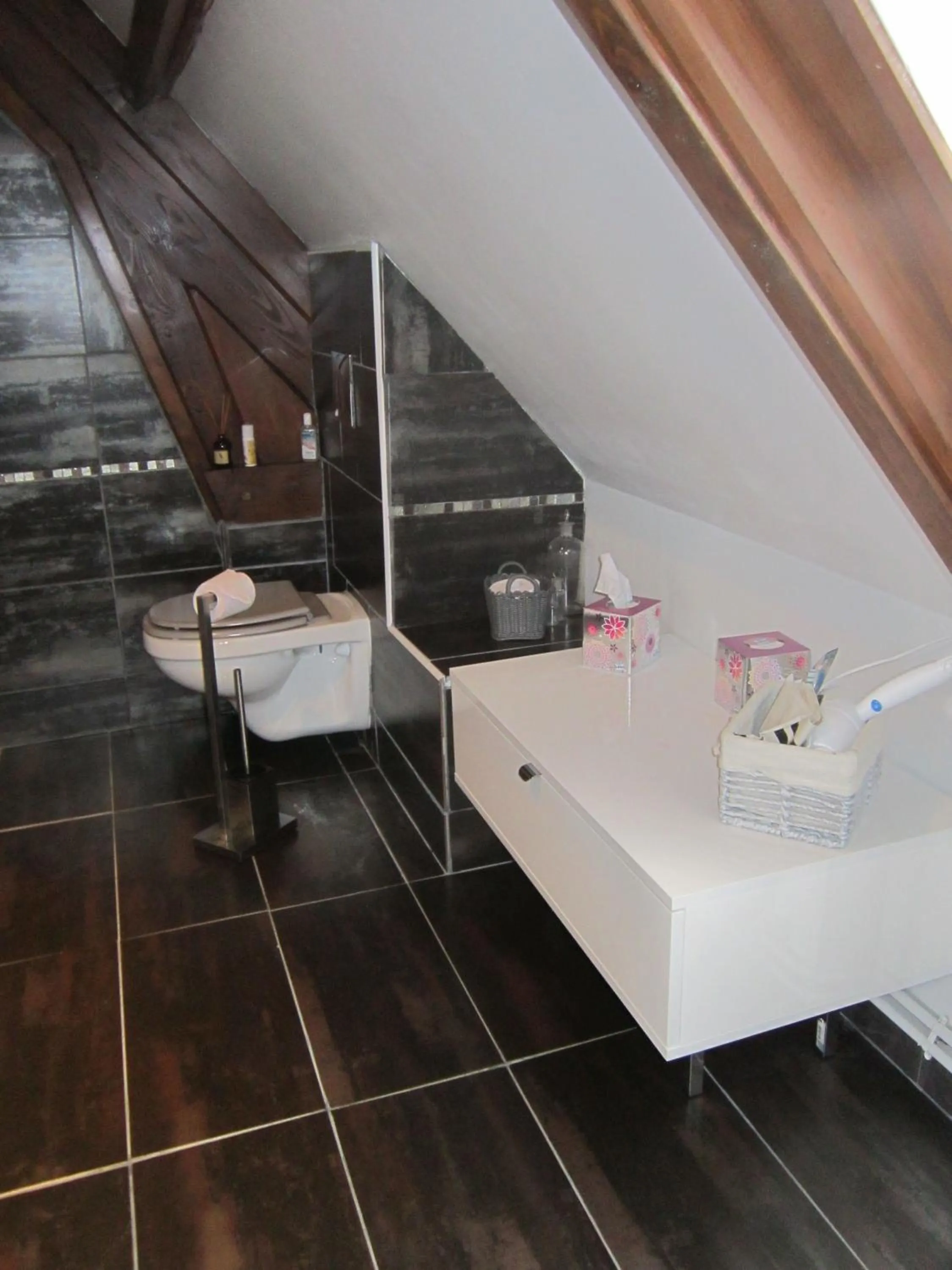 Toilet in L'Anctovillière