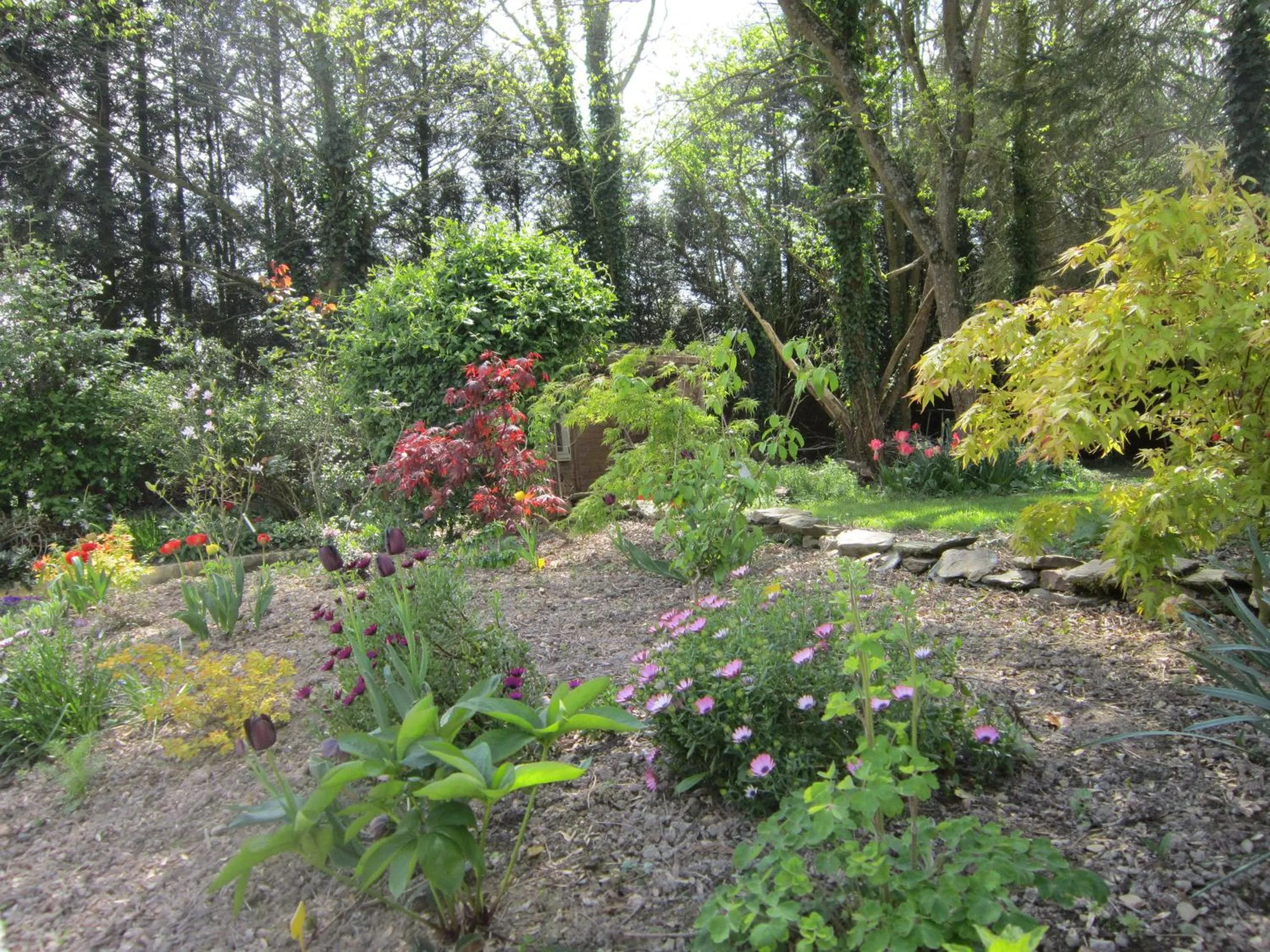 Garden in L'Anctovillière