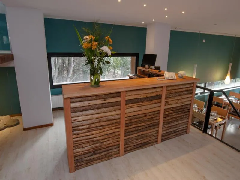 Lobby or reception in Hotel Alto Traful