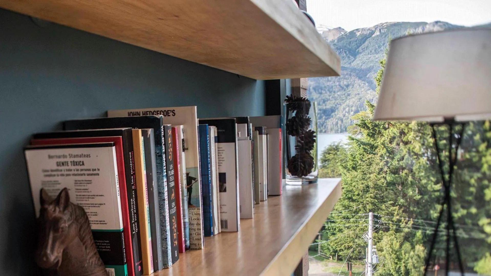 Library in Hotel Alto Traful