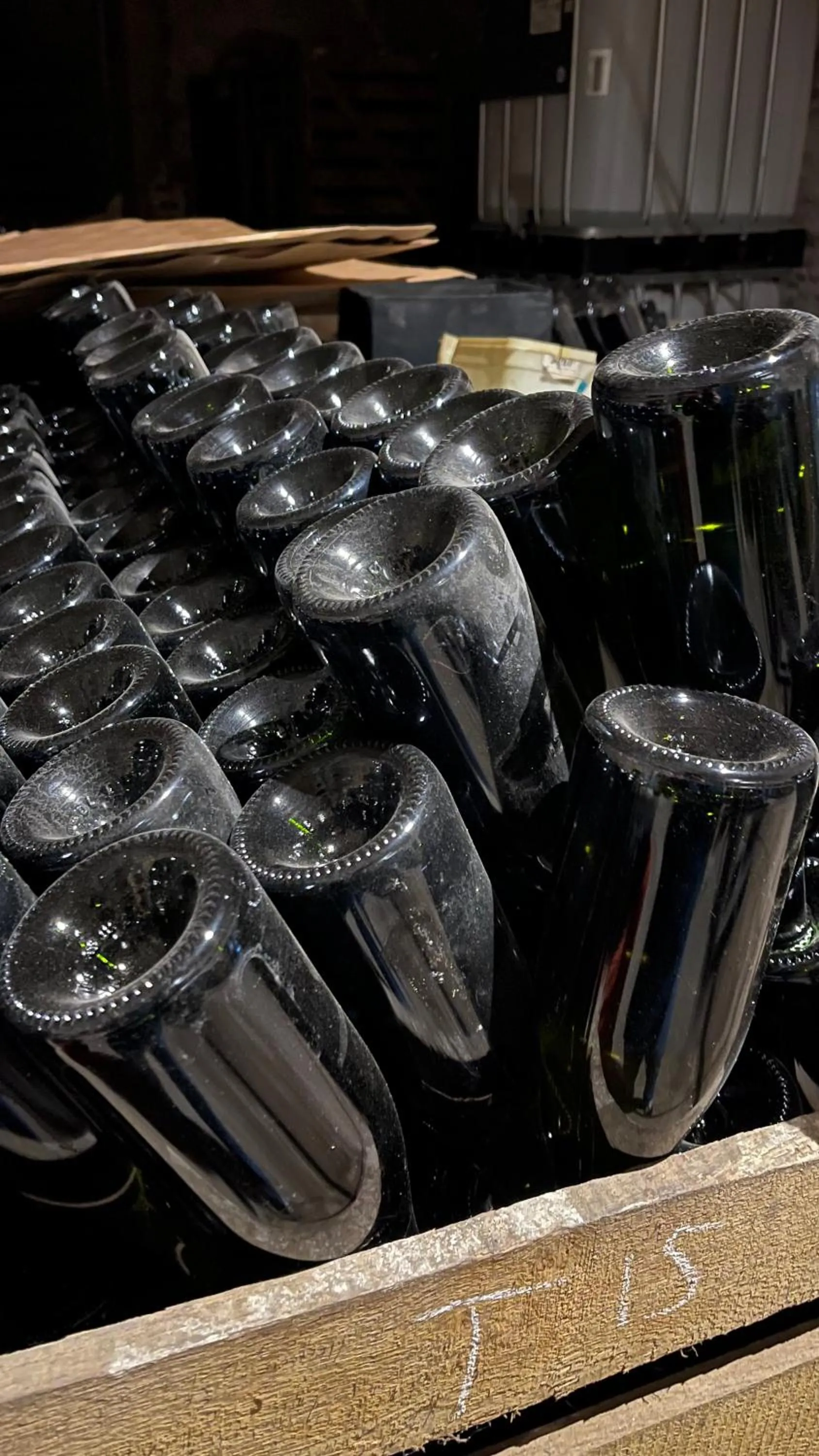 Villa Orsini - A Retreat in Pisa - Food and Relax