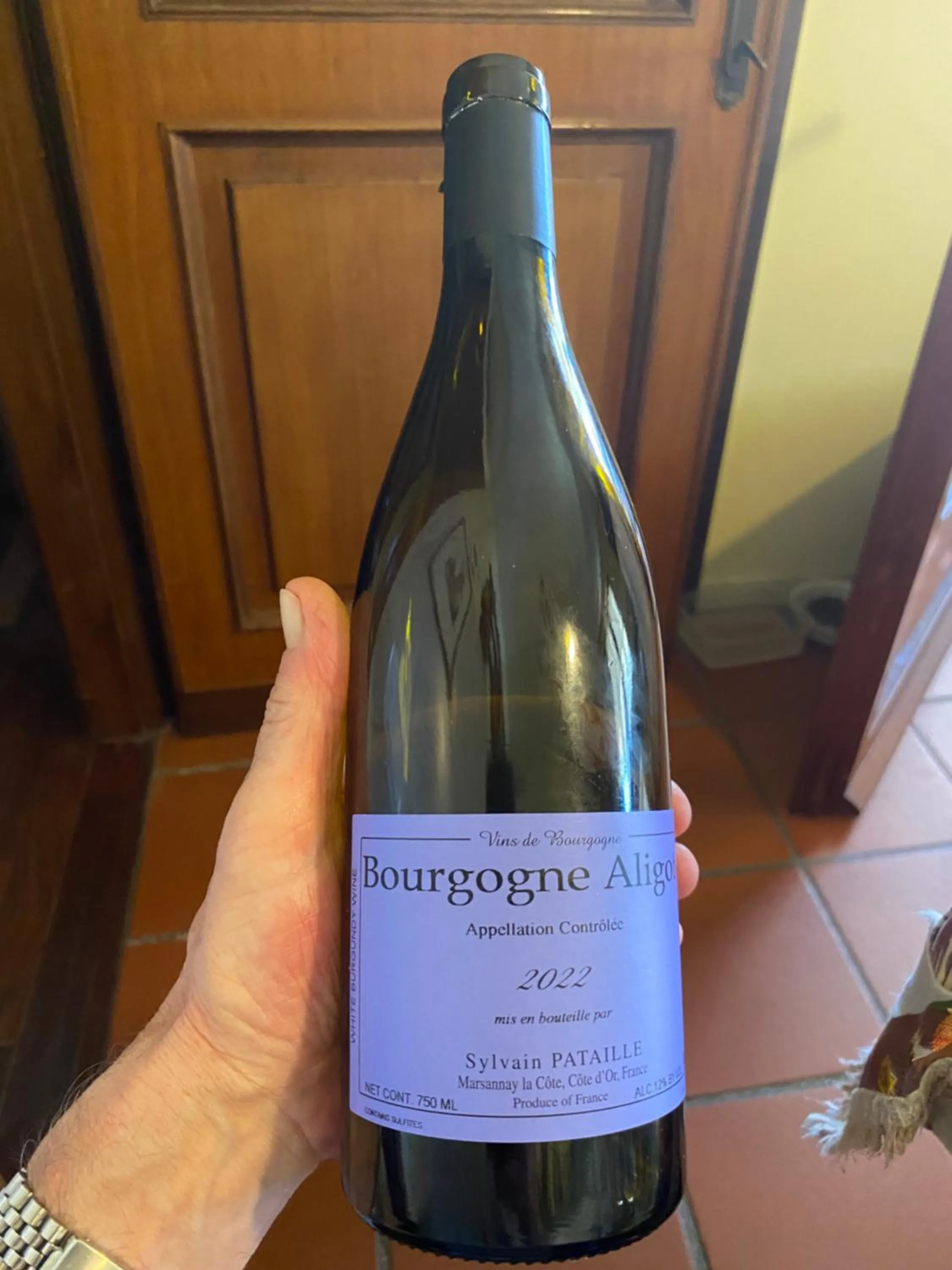 Restaurant/places to eat in Villa Orsini - A Retreat in Pisa - Food and Relax