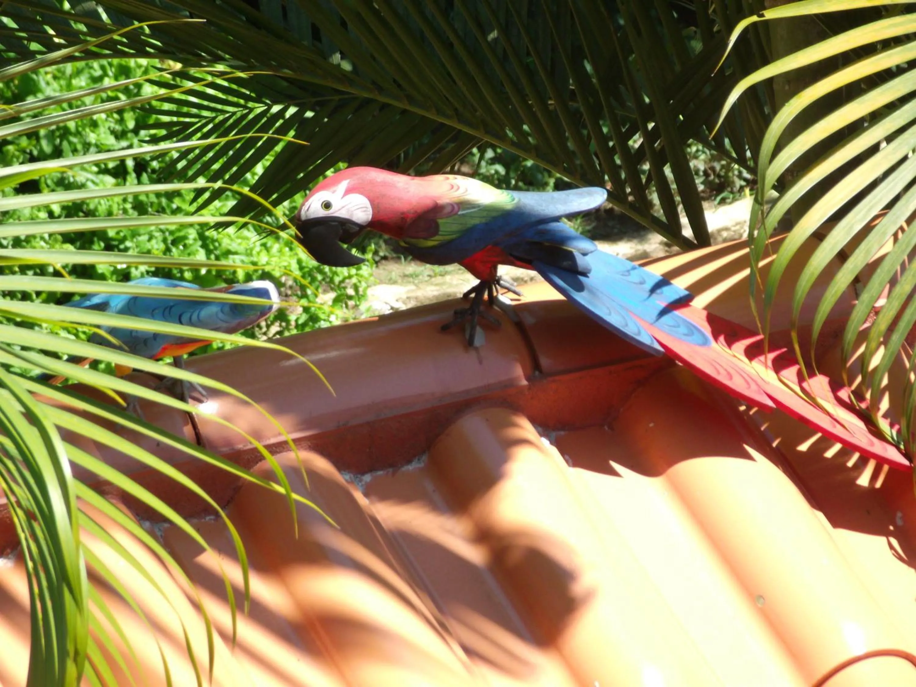 Other in Pousada Horizonte dos Borbas