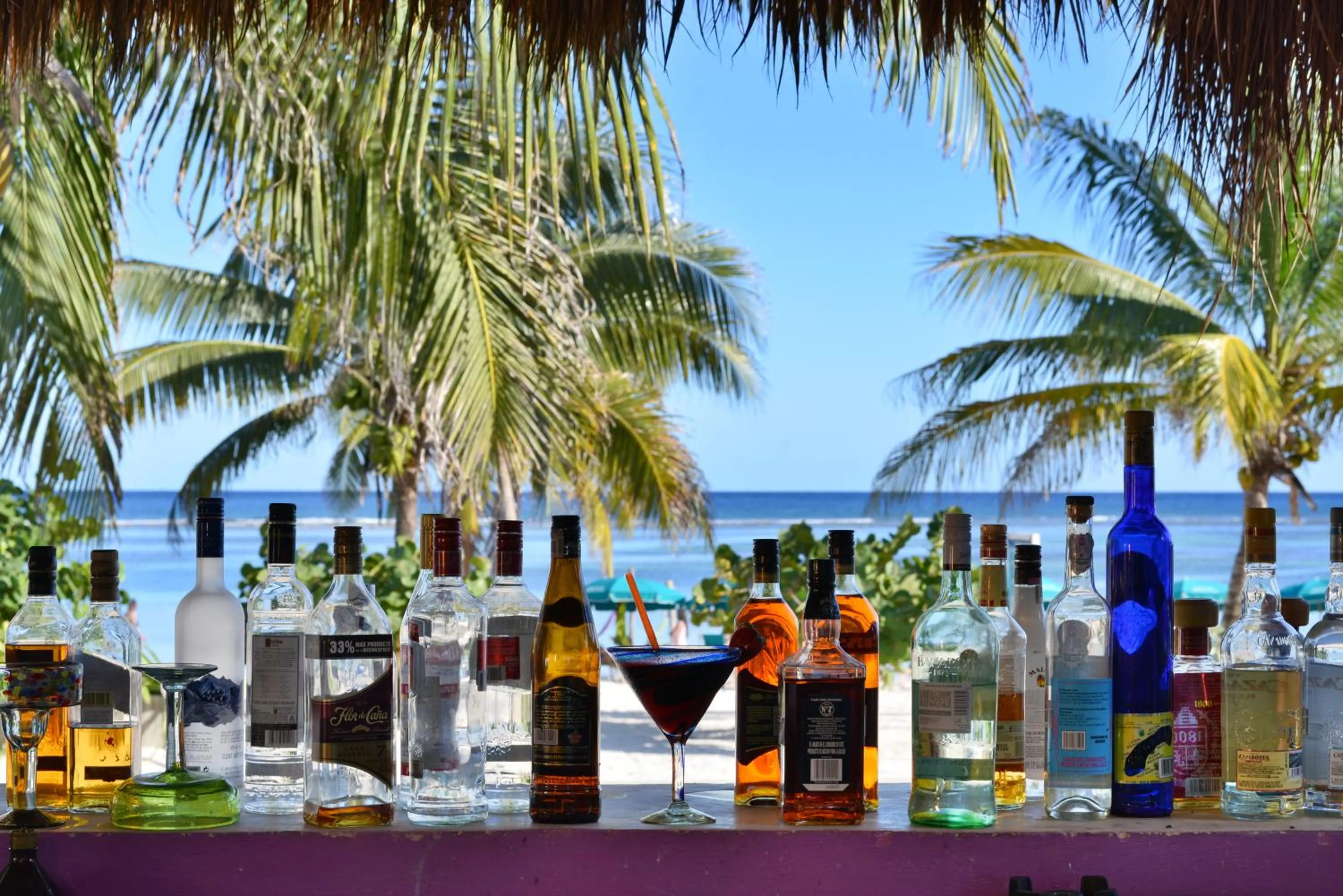 Lounge or bar in Nacional Beach Club & Bungalows