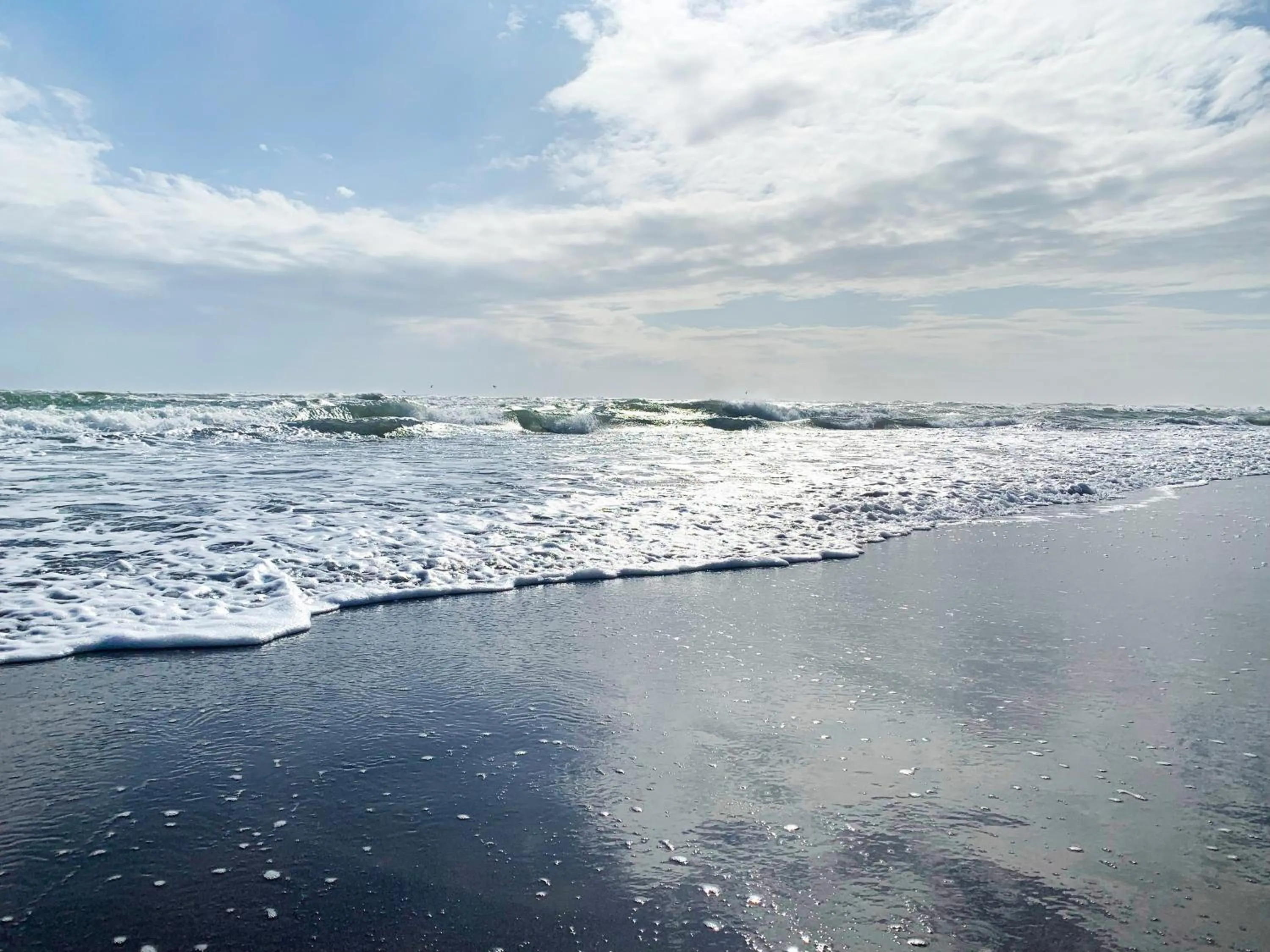 Natural landscape in Hotel Gran Palmeiras