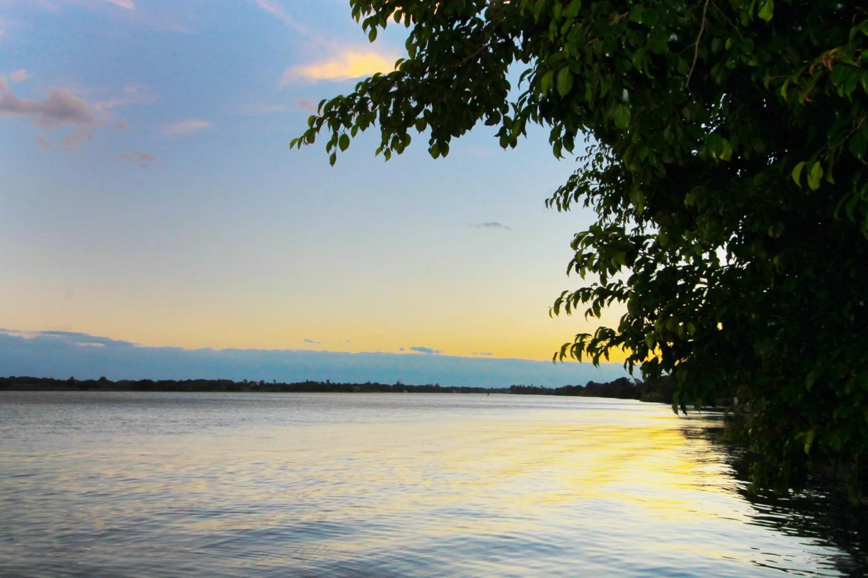 Natural landscape in Hotel Gran Palmeiras