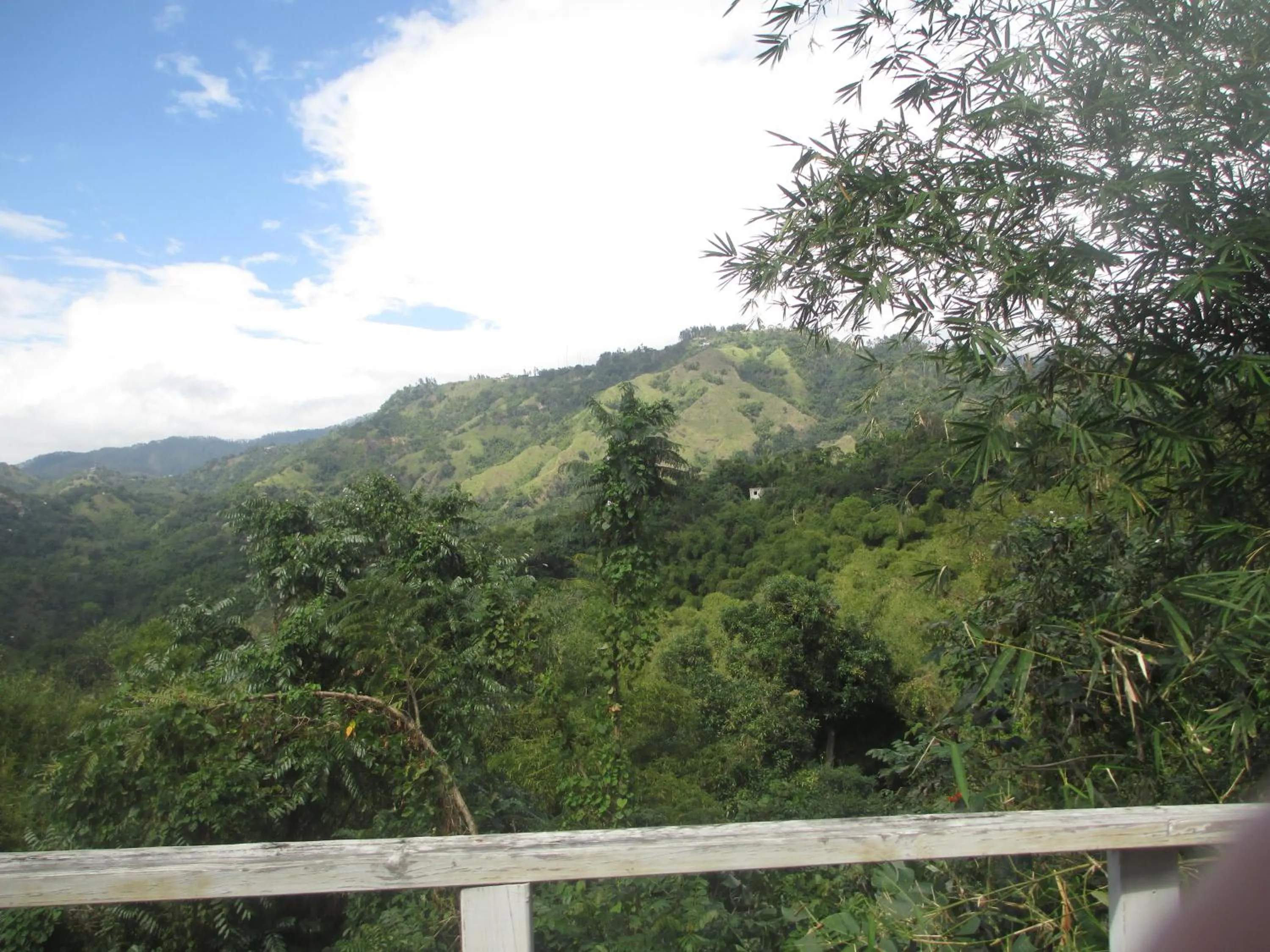 Mountain view in Kingsworth Bed and Breakfast