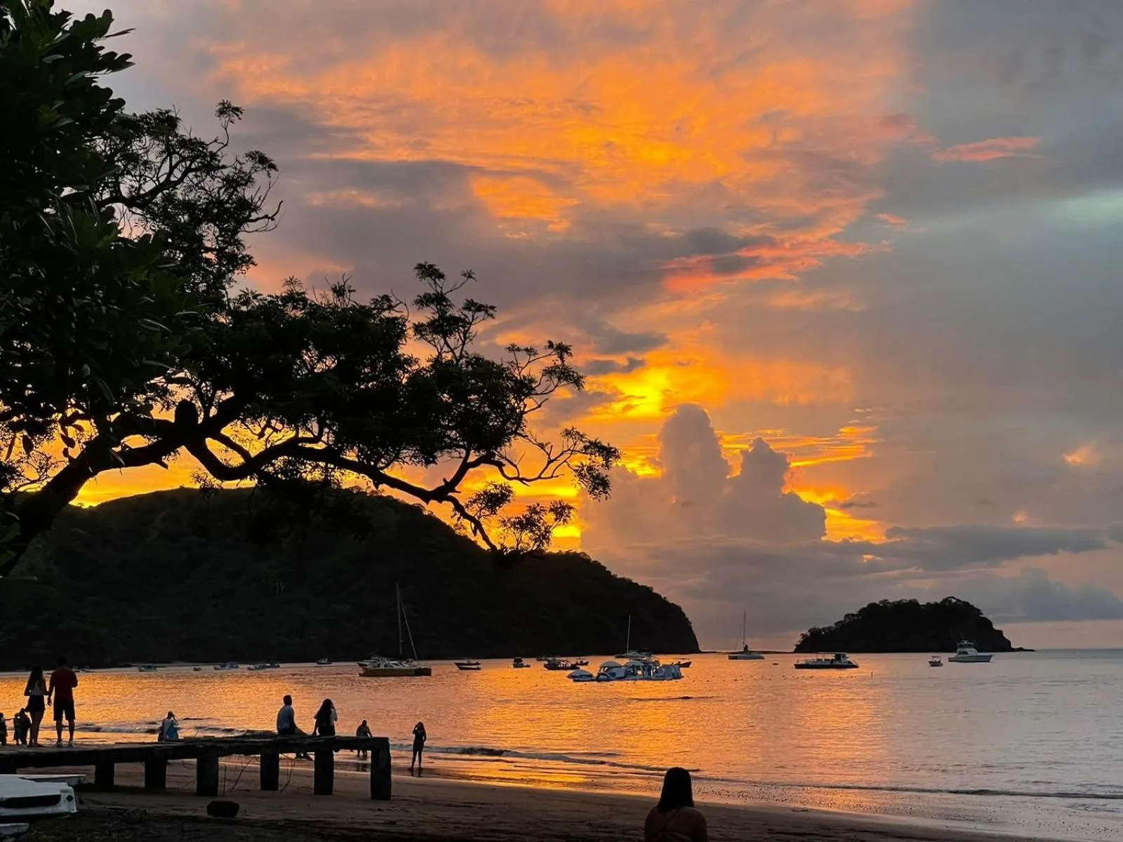 Beach in The Palms At Coco Beach