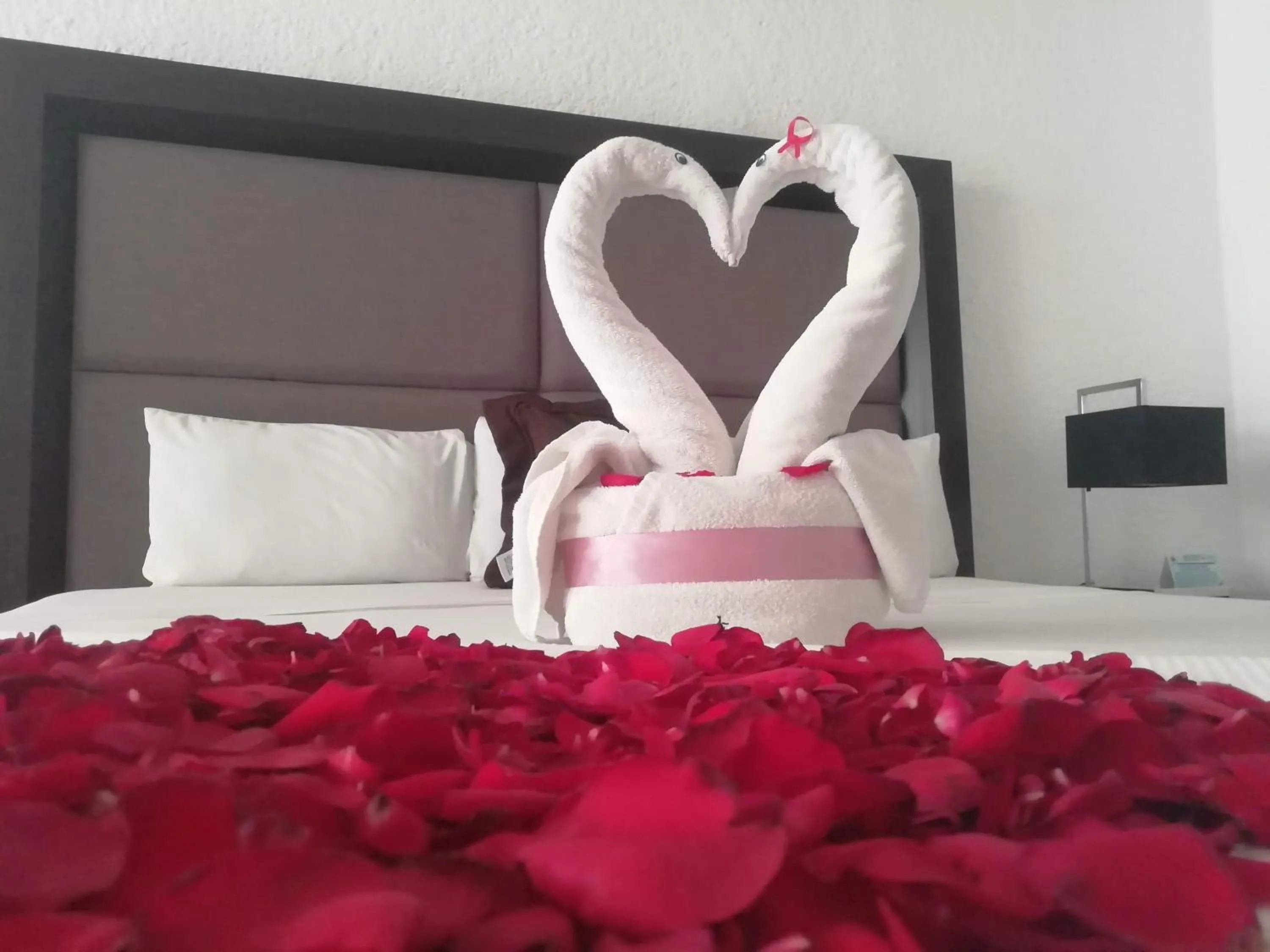 Bed in Hotel Green 16