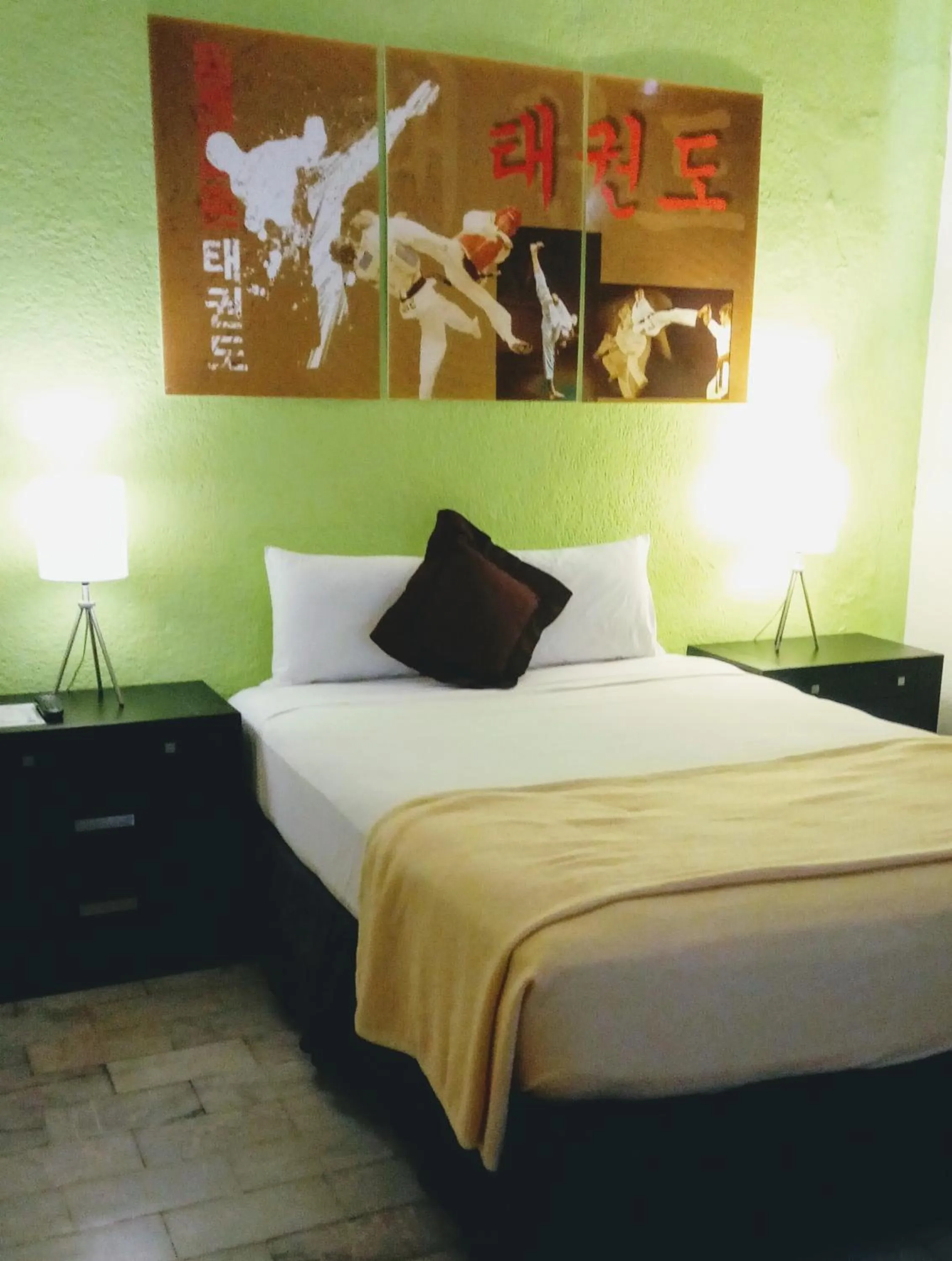 Bed in Hotel Green 16