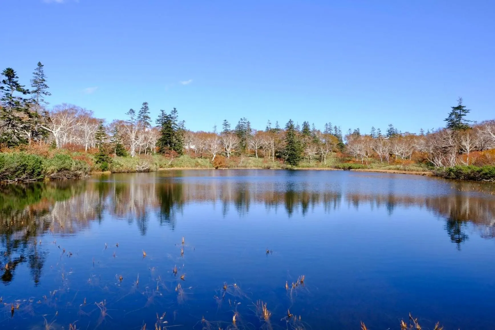 Nearby landmark in Pension Cotton Farm