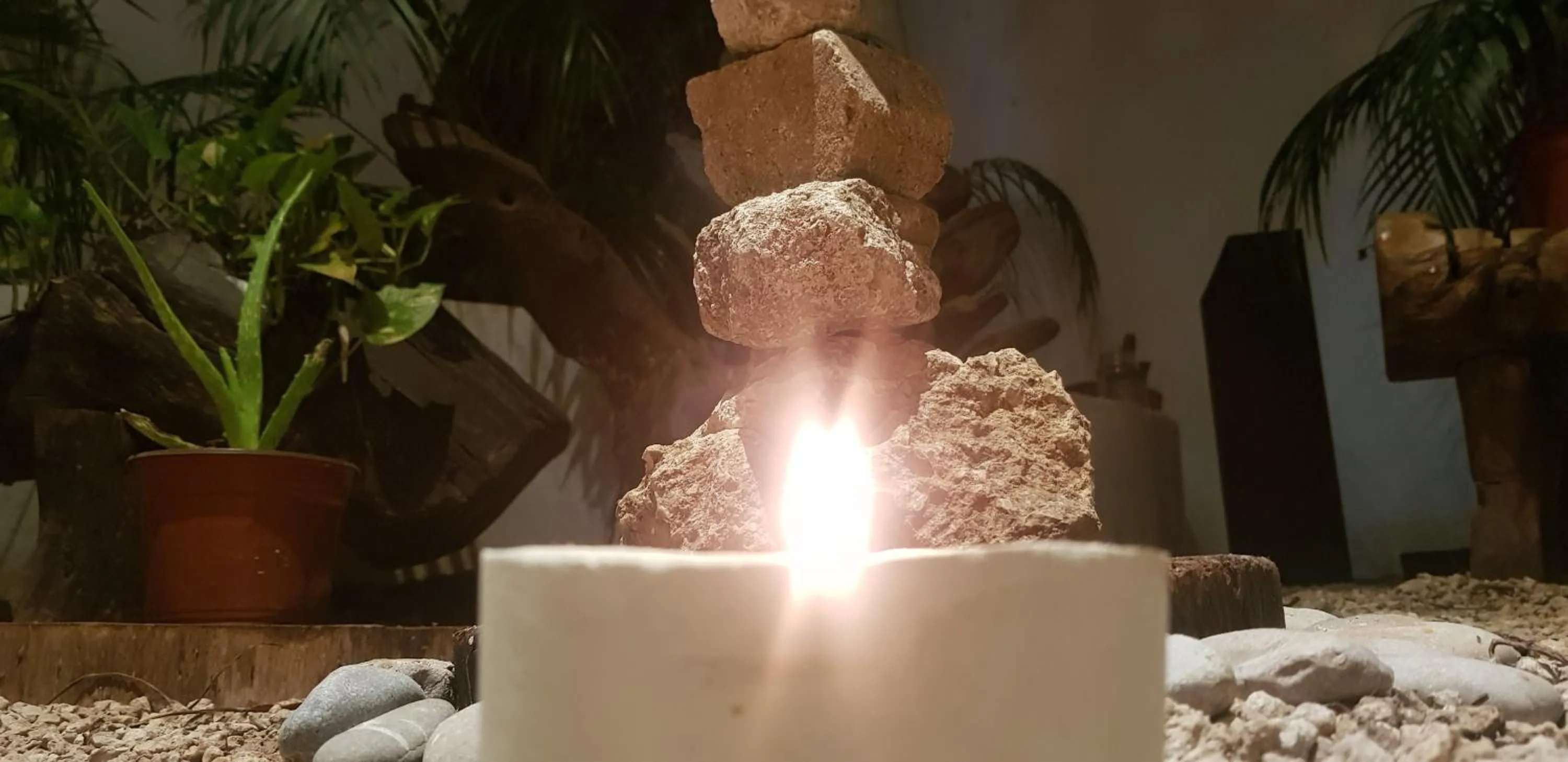 Garden in The Green Village Boutique Hotel