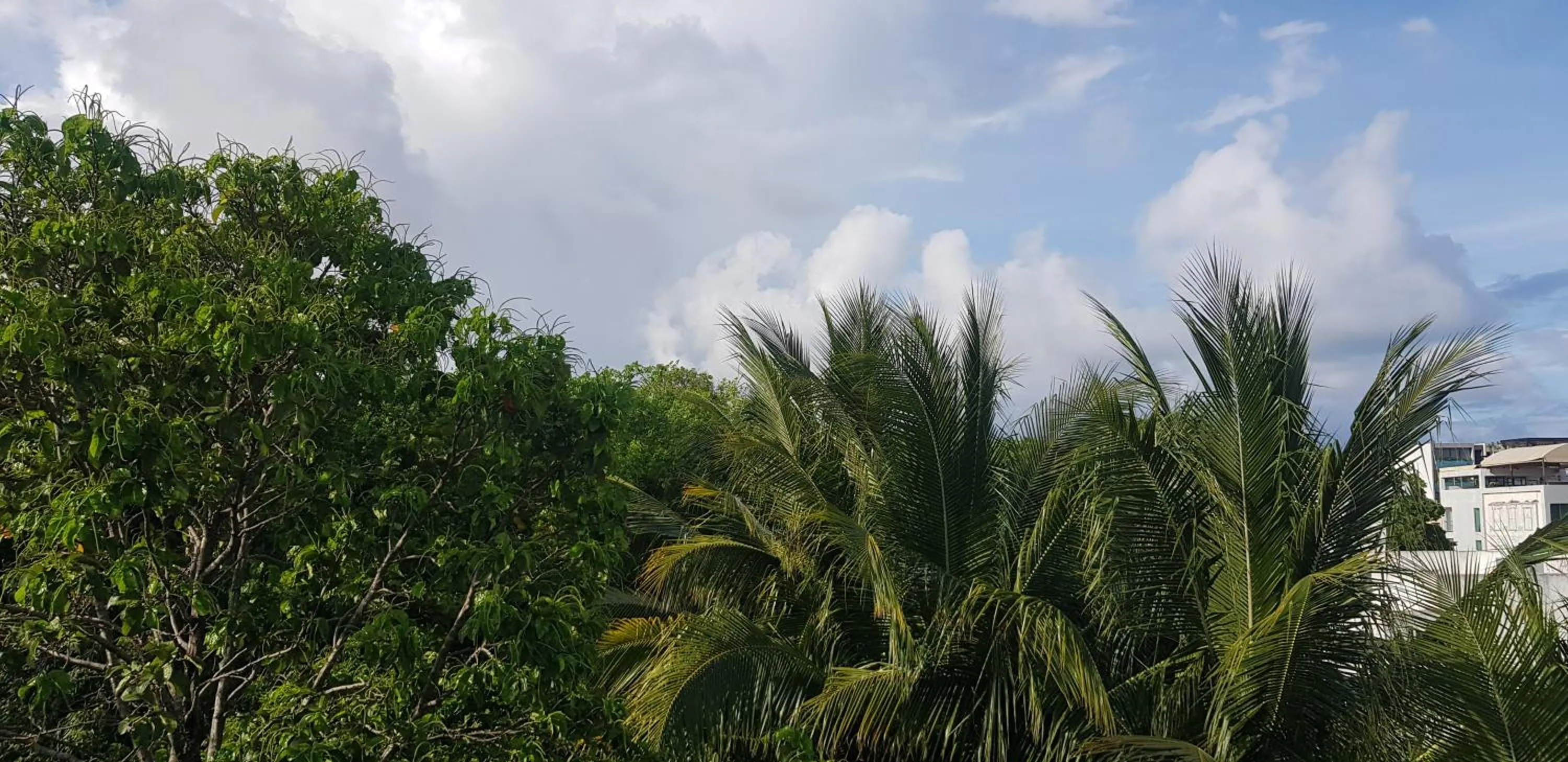 Natural landscape in The Green Village Boutique Hotel