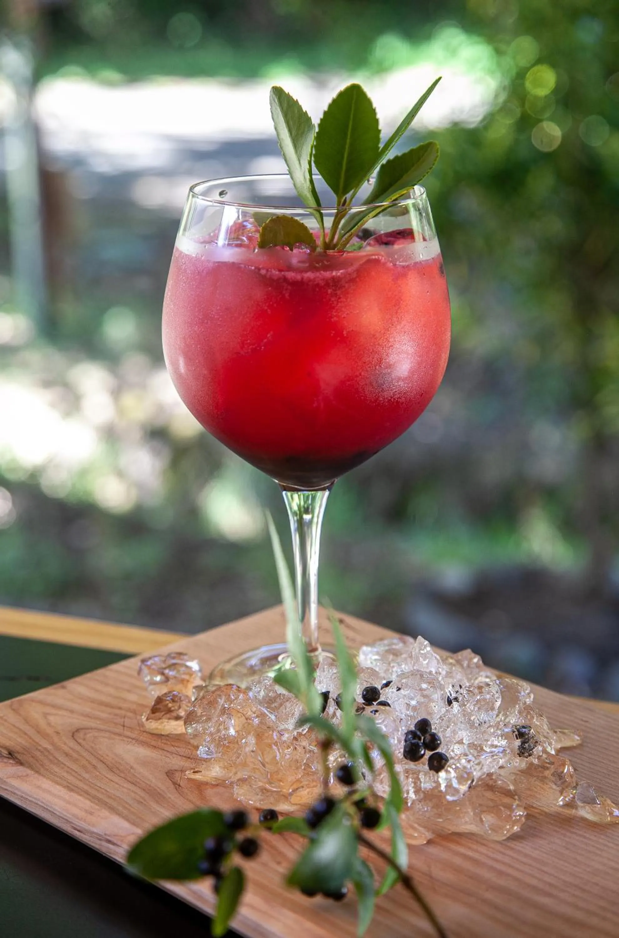 Drinks in Alto Melimoyu Hotel & Patagonia