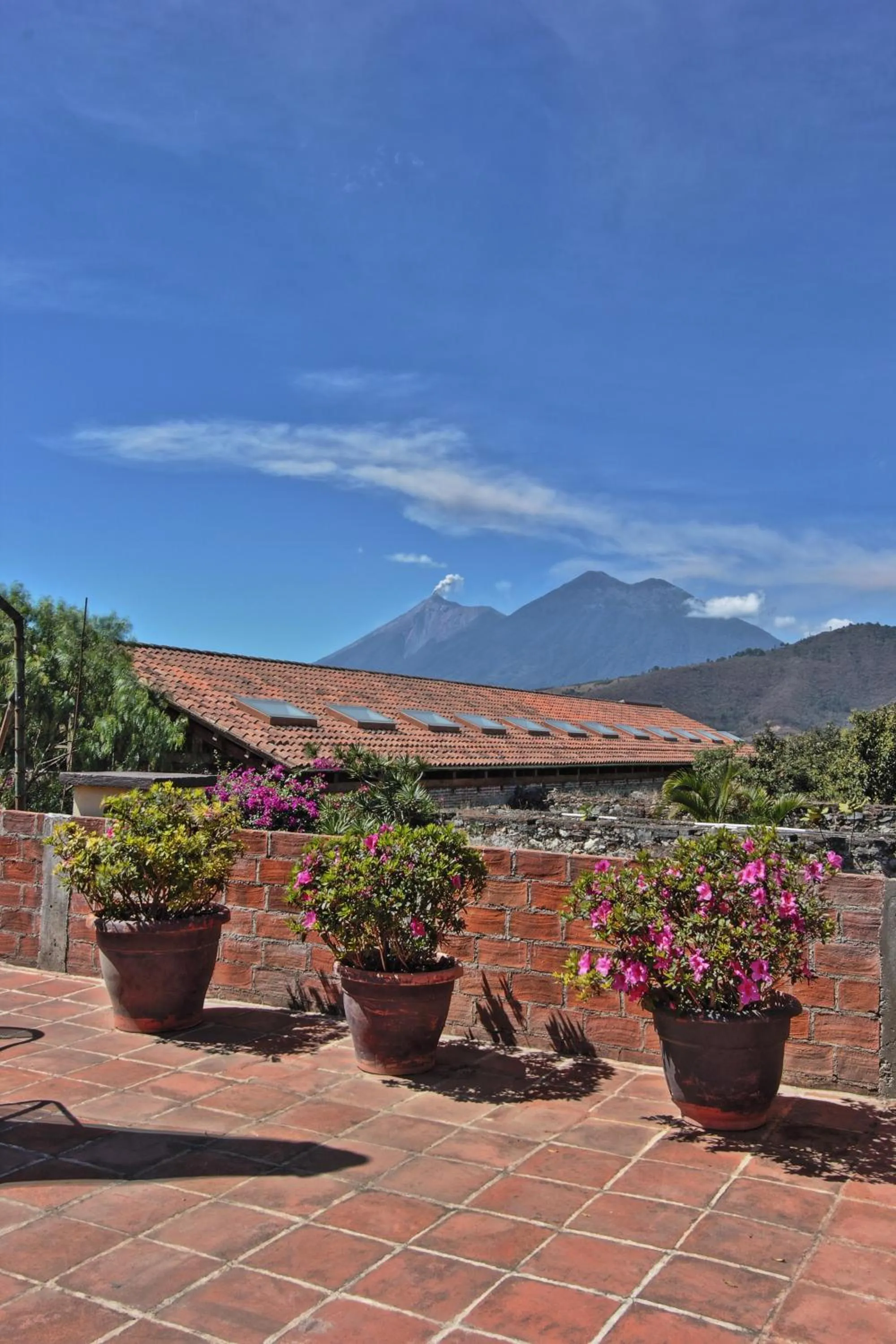 Balcony/Terrace in Hotel Las Camelias Inn by AHS
