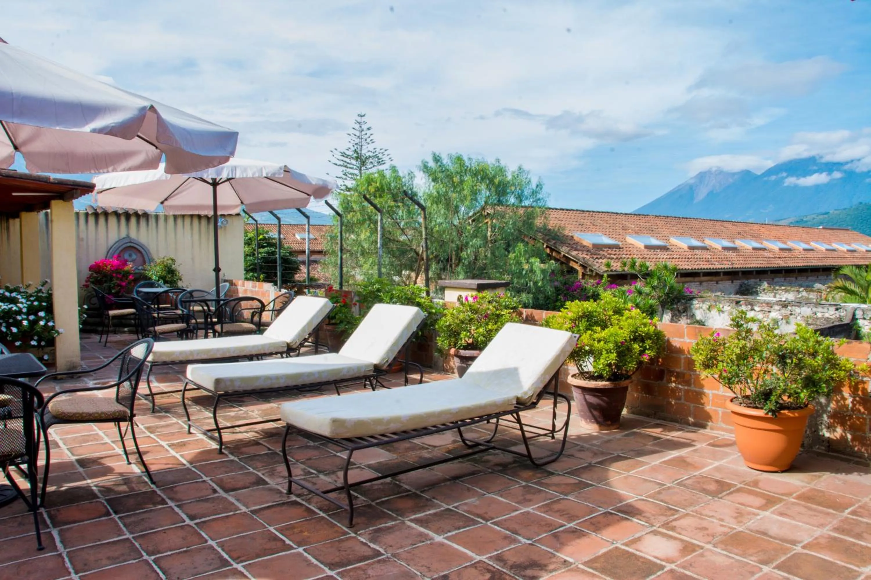 Balcony/Terrace in Hotel Las Camelias Inn by AHS