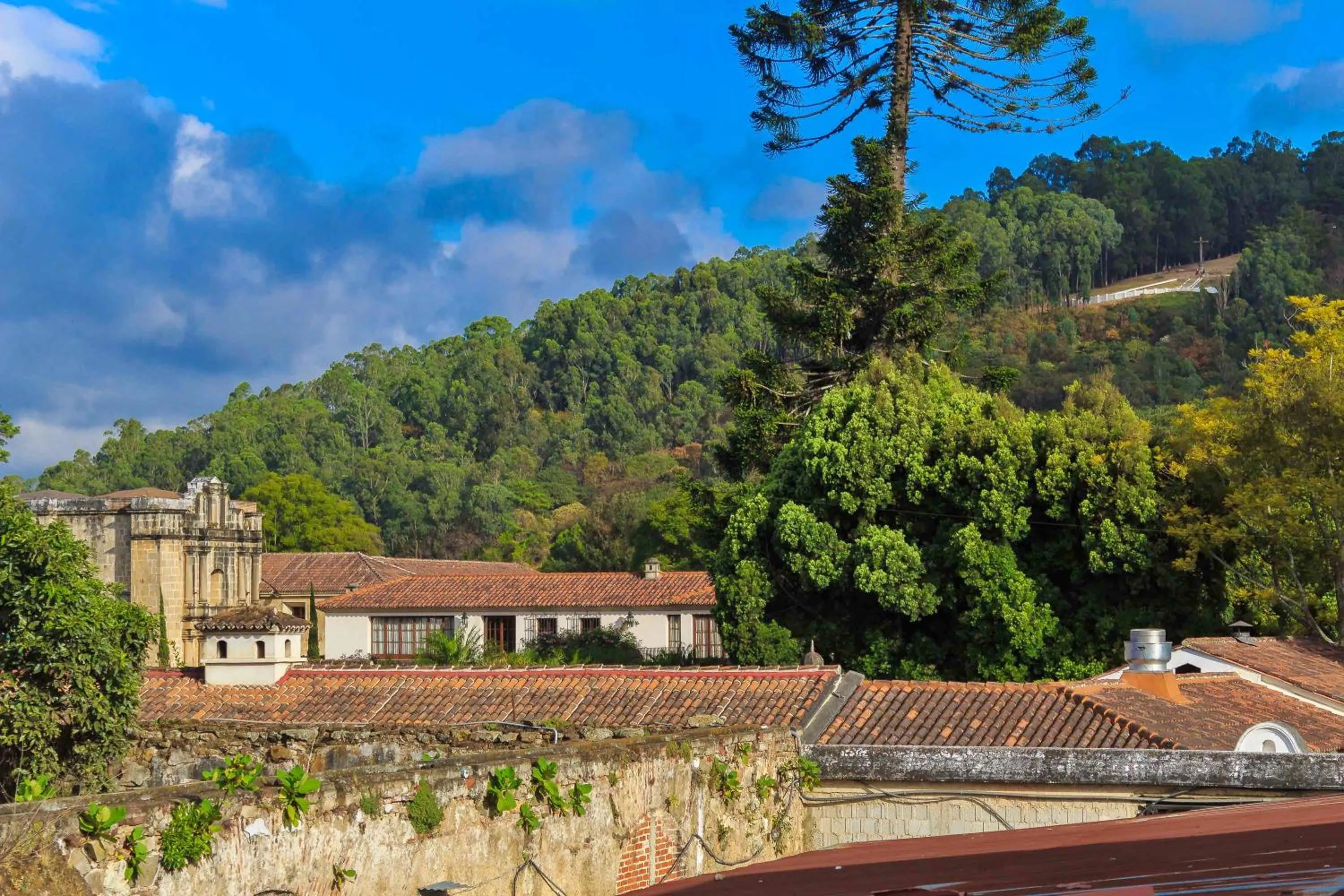 Landmark view in Hotel Las Camelias Inn by AHS