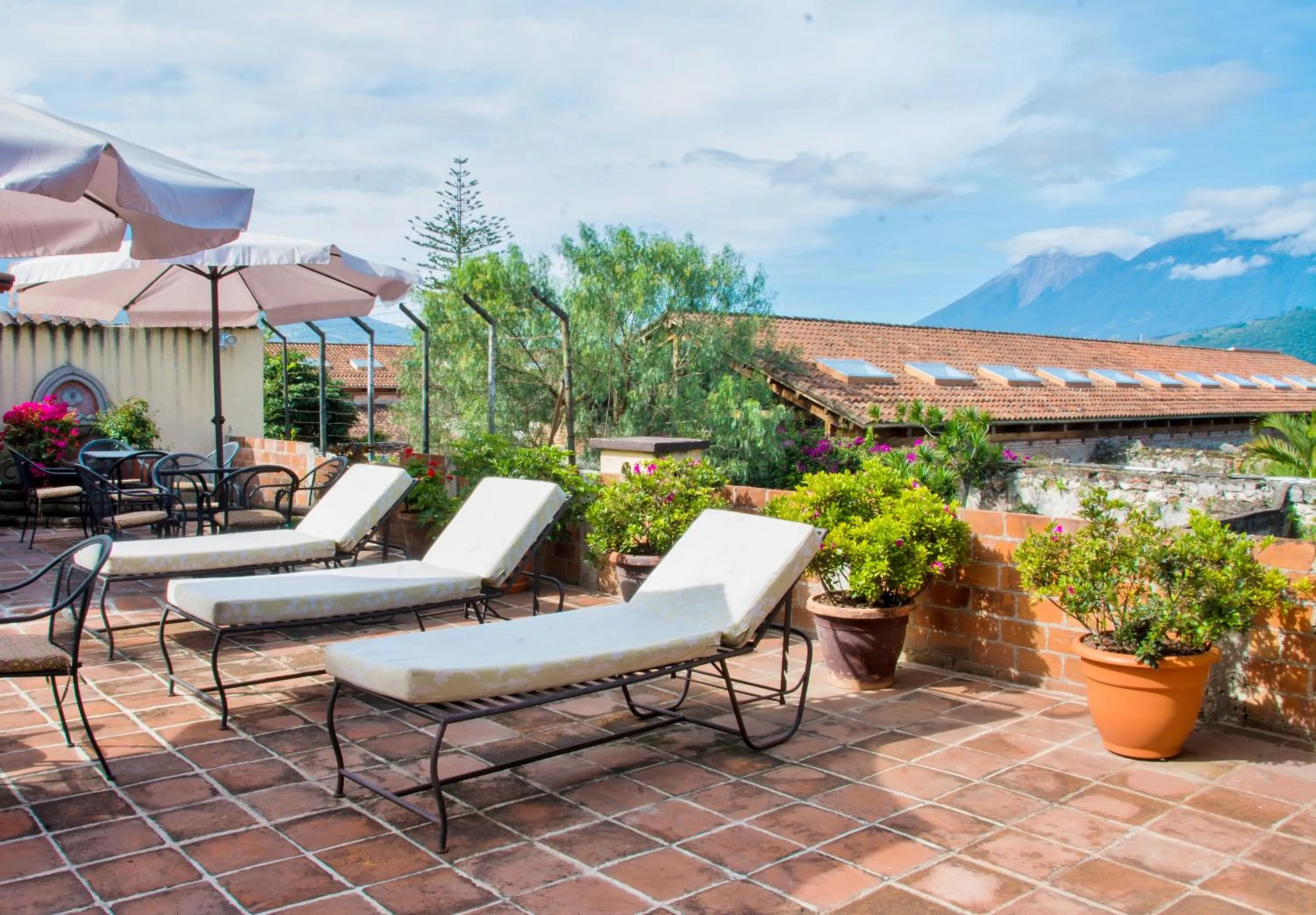 Balcony/Terrace in Hotel Las Camelias Inn by AHS